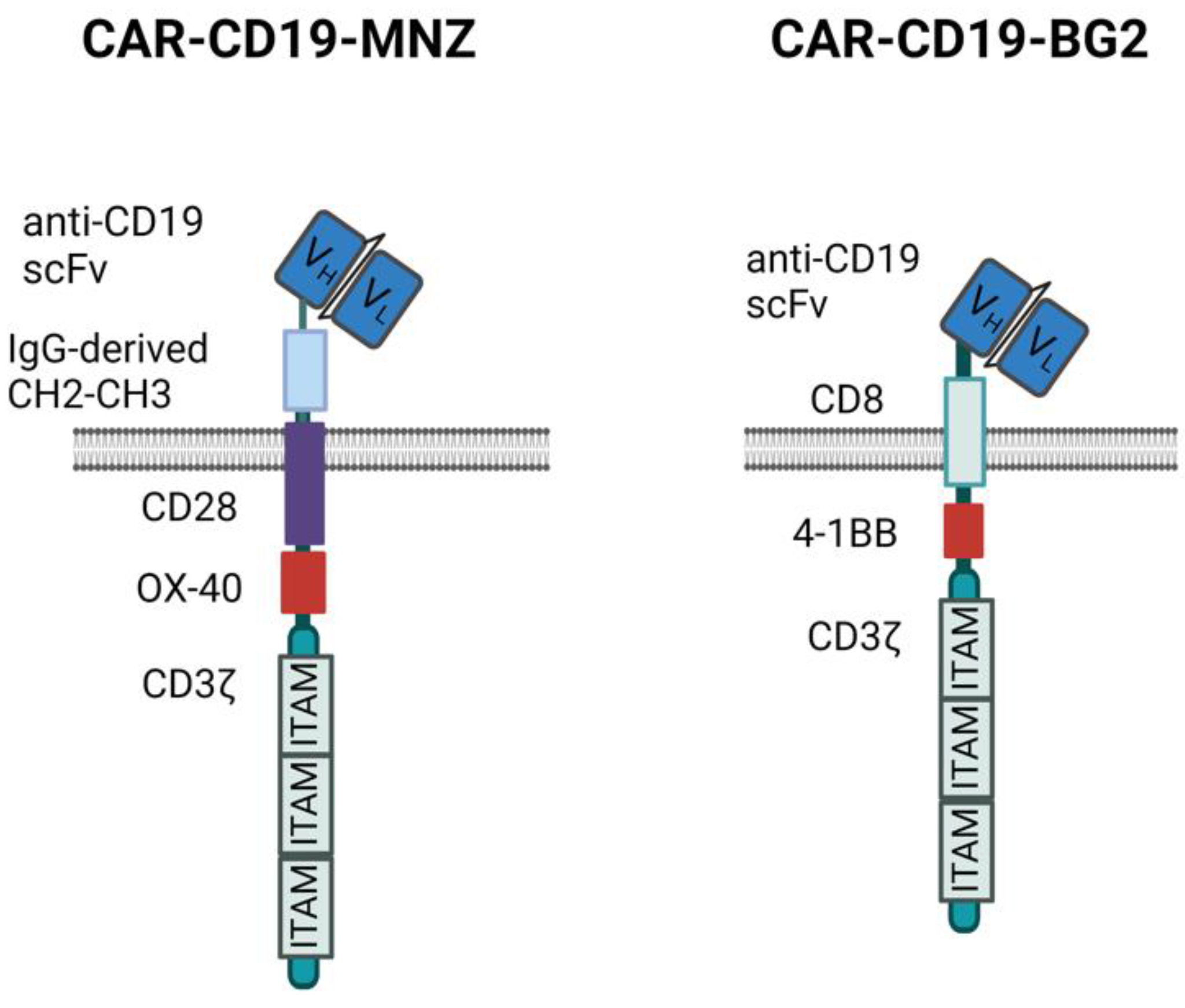 Antibodies 13 00071 g001