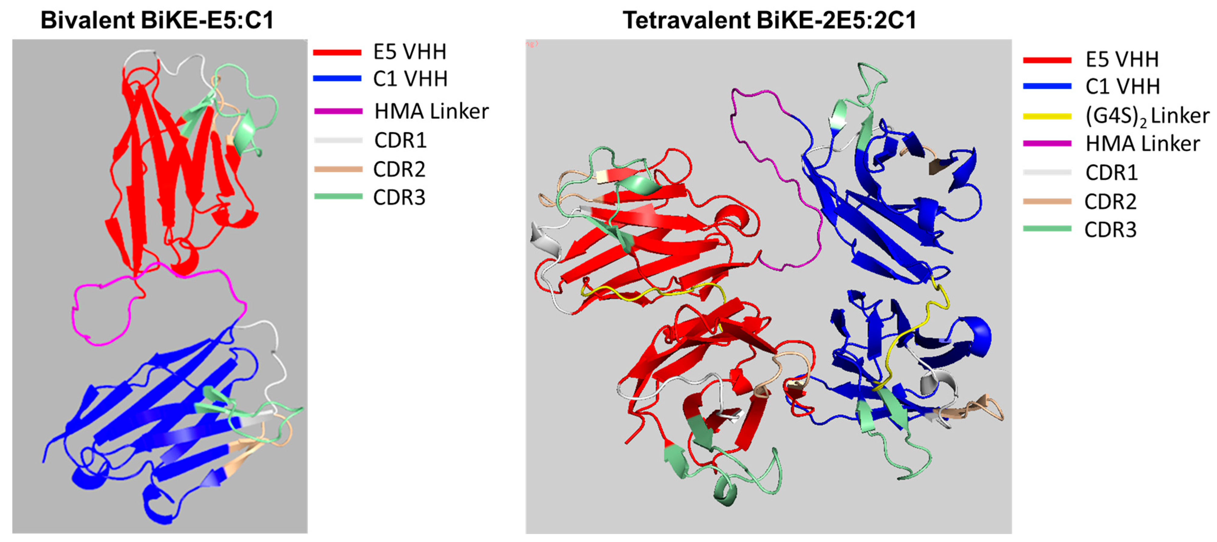 Antibodies 13 00075 g001