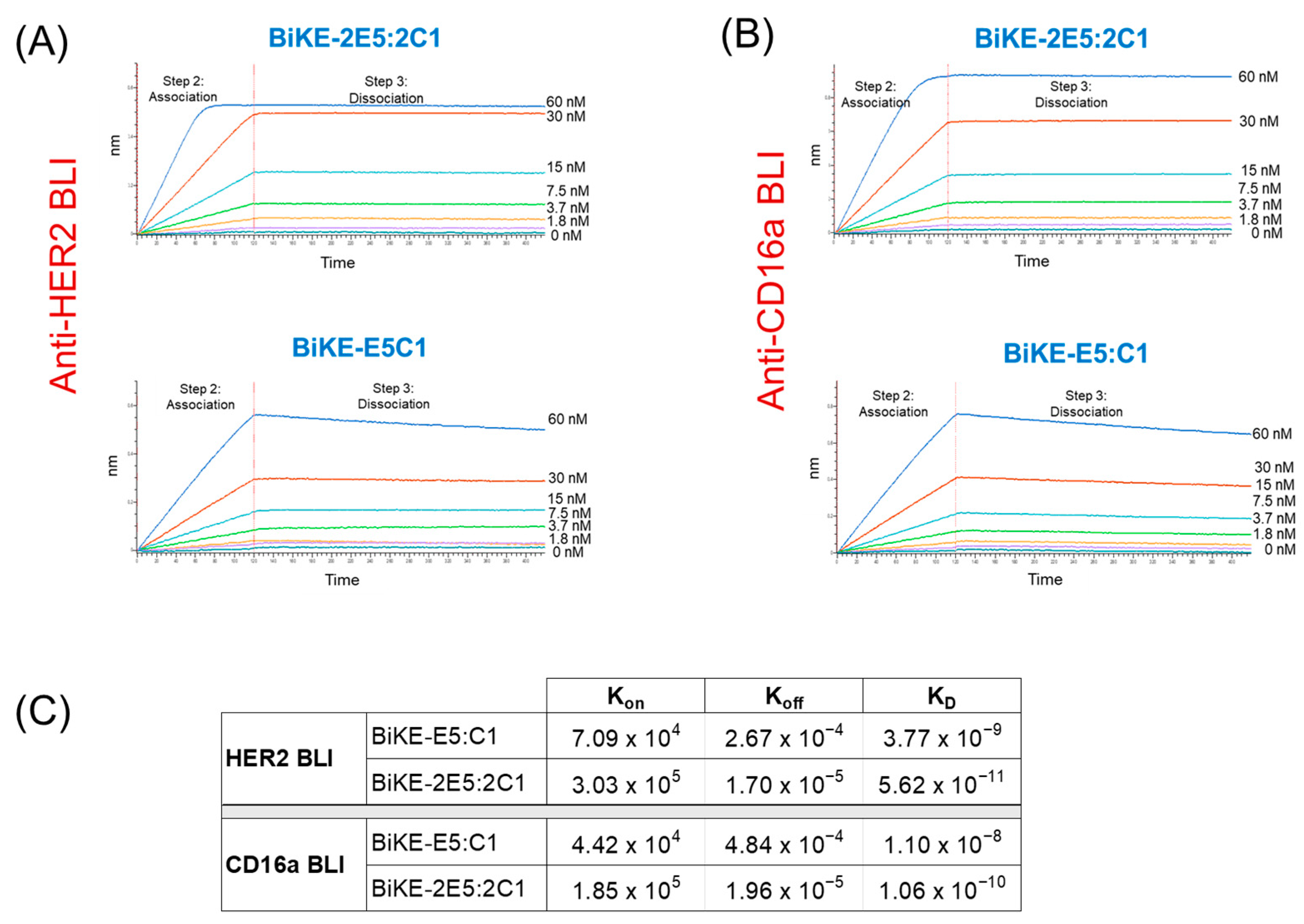 Antibodies 13 00075 g003