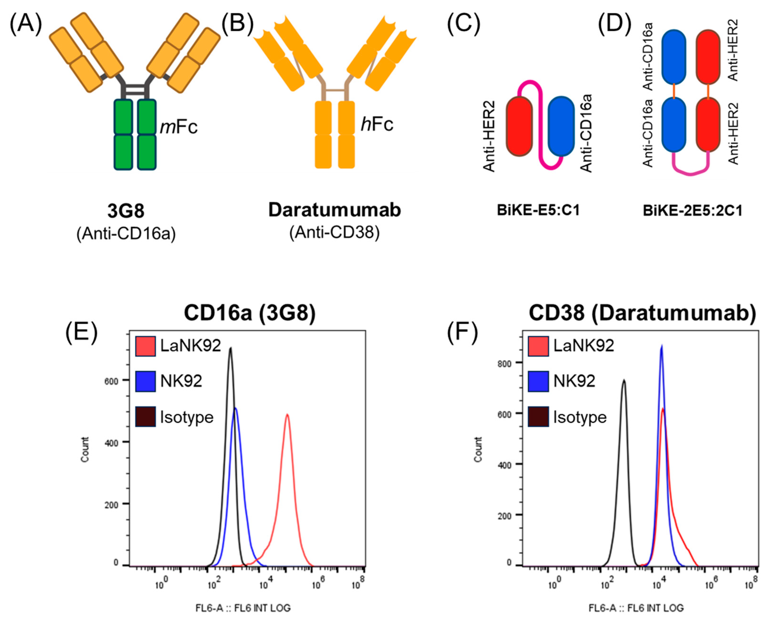 Antibodies 13 00075 g005