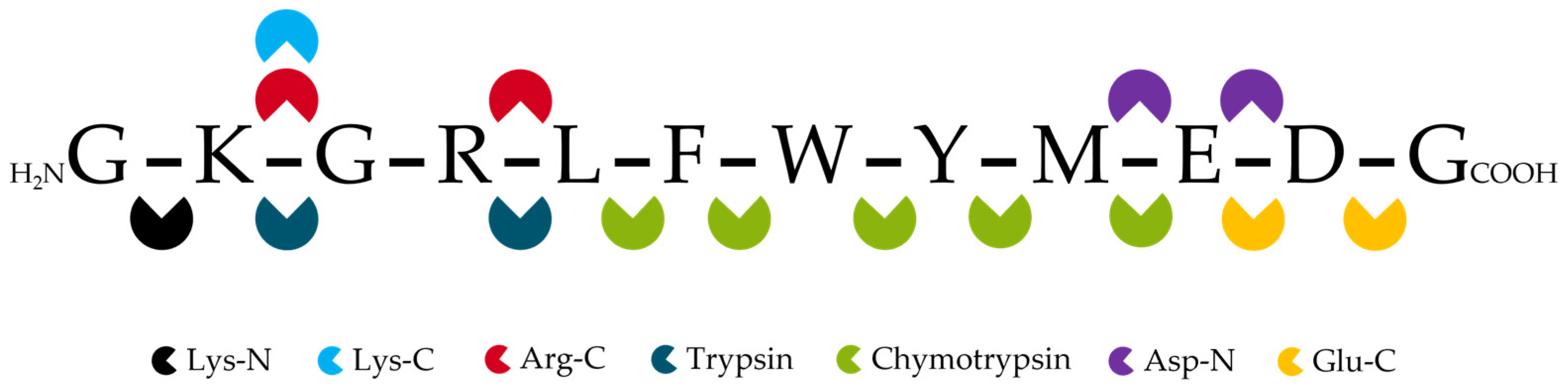 Antibodies 14 00003 g003
