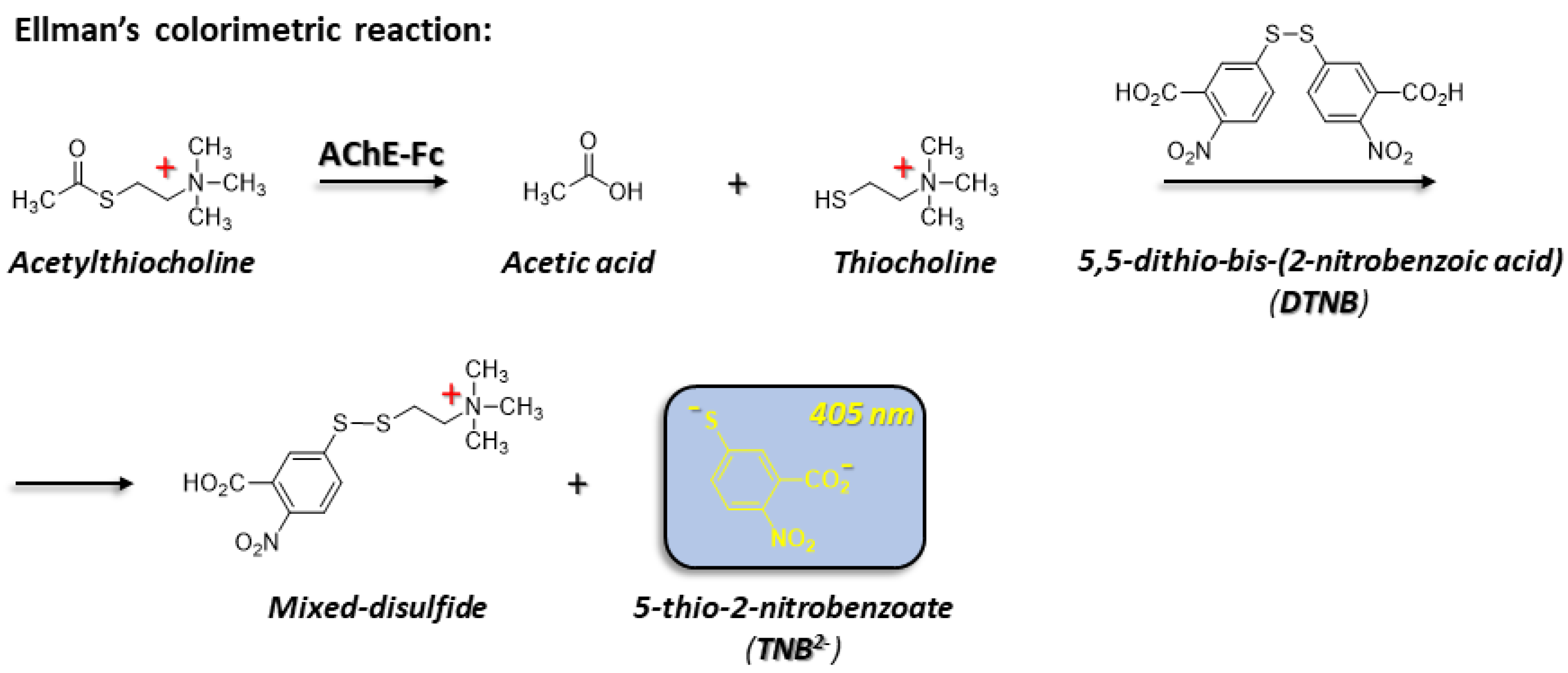 Antibodies 14 00011 g001