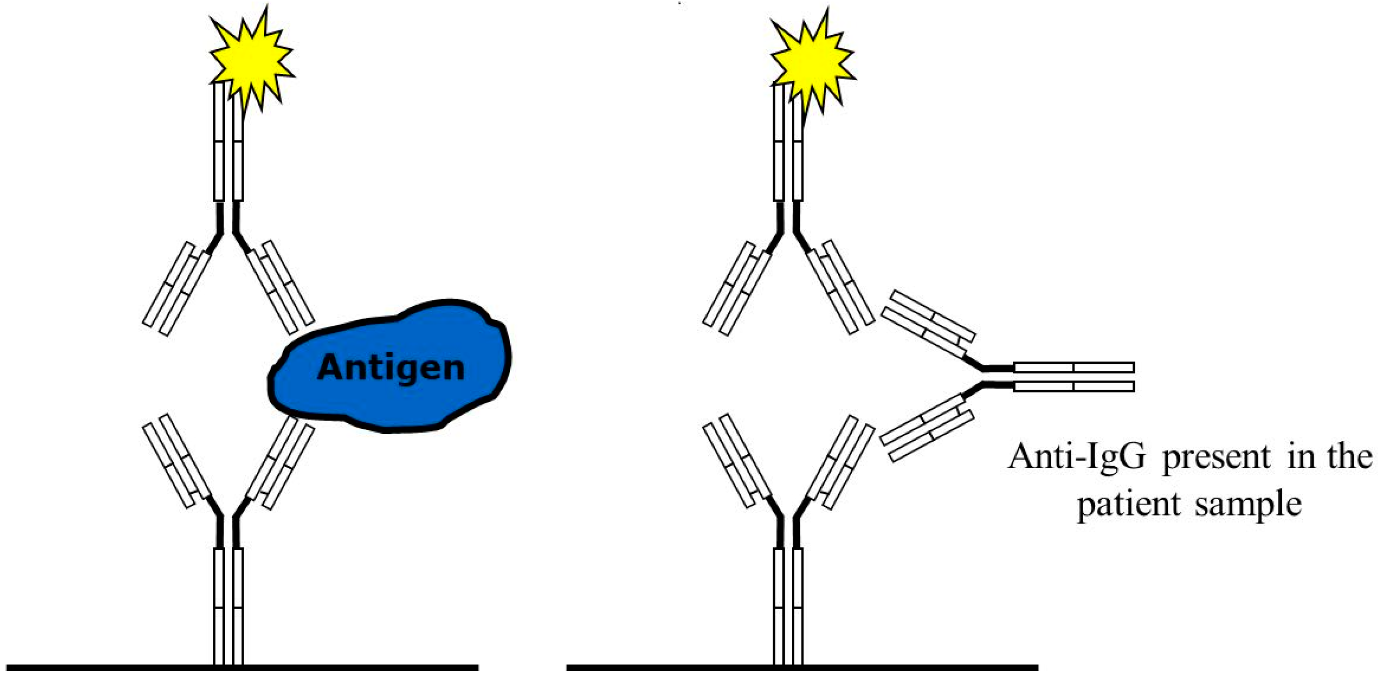 Antibodies 14 00018 g002