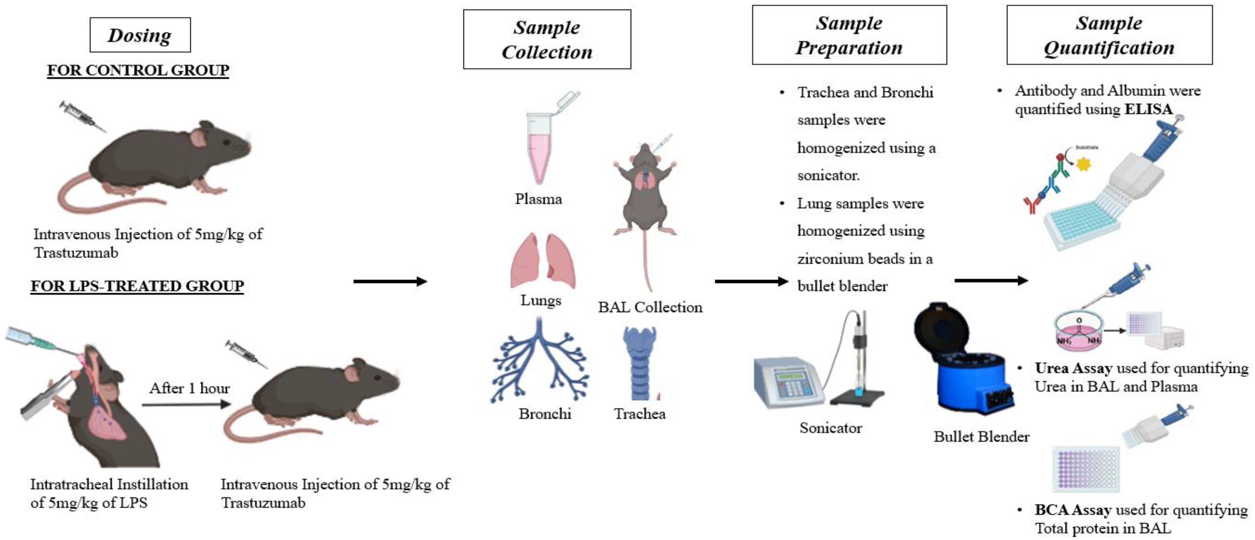 Antibodies 14 00033 g001