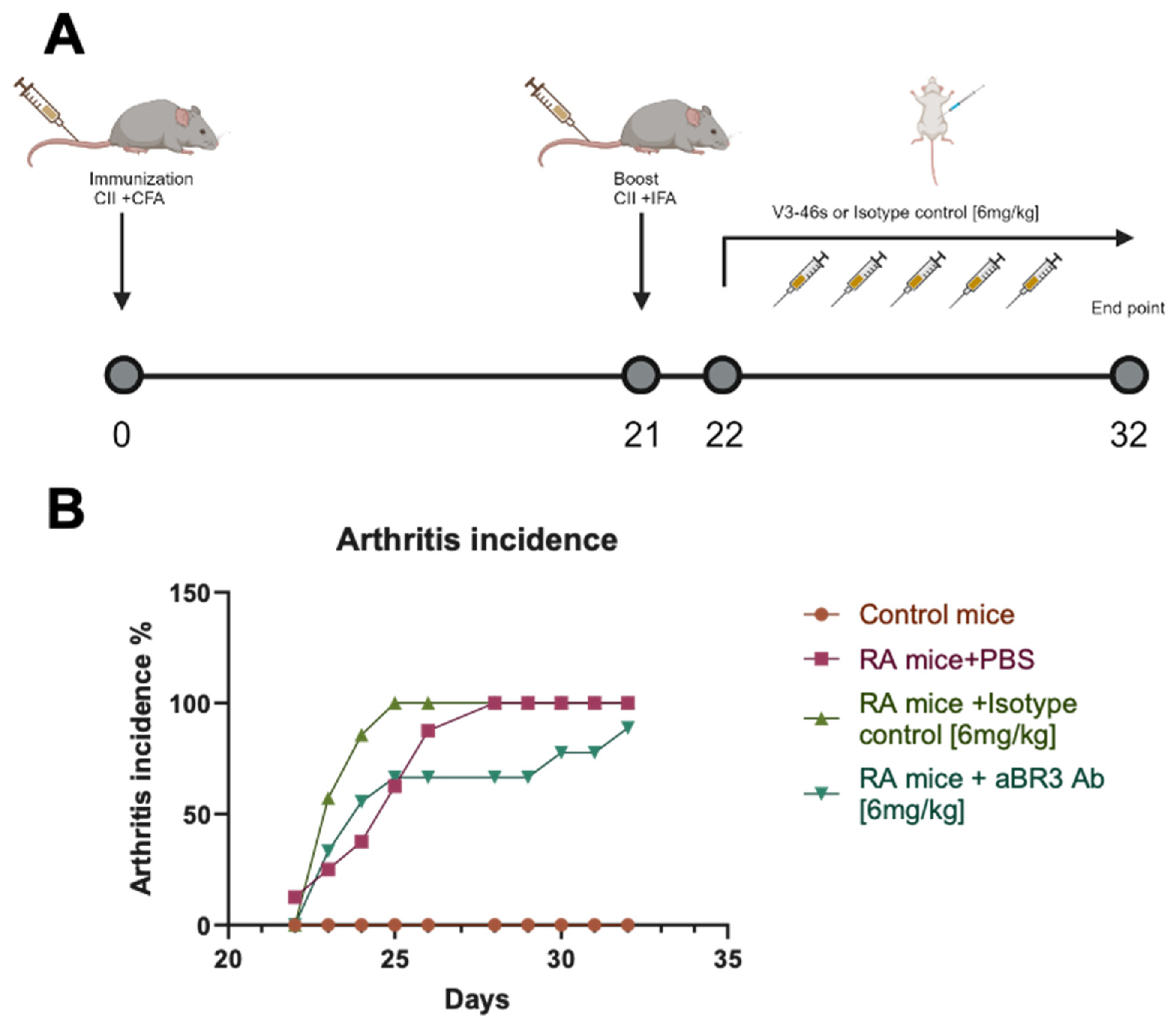 Antibodies 14 00090 g004 Antibodies 14 00090 g004