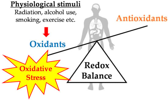 Antioxidants Free Full Text Exercise Induced Oxidative Stress And The Effects Of Antioxidant Intake From A Physiological Viewpoint