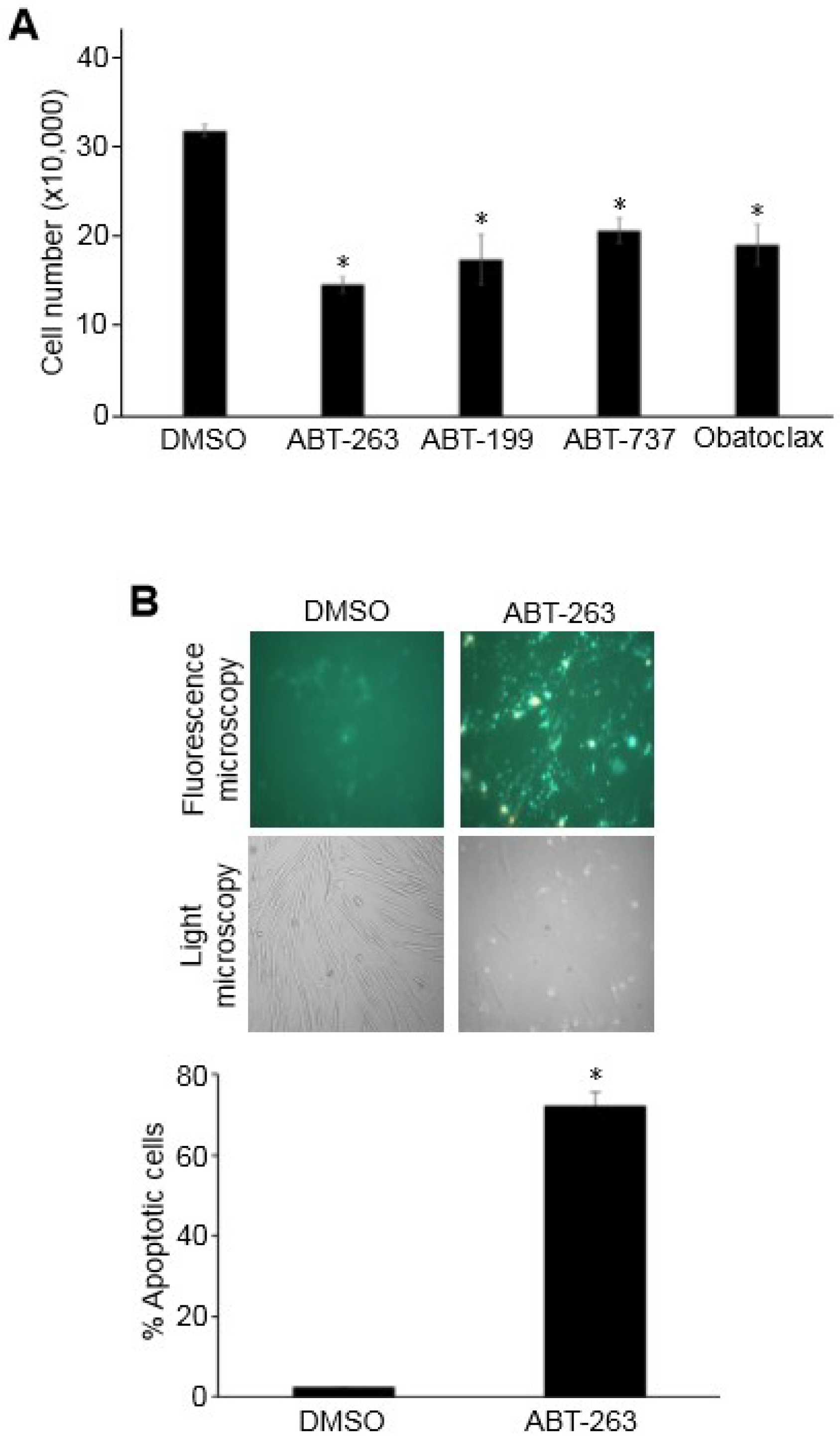 Antioxidants Free Full Text Effects Of Bcl 2 Bcl Xl Inhibitors On Pulmonary Artery Smooth Muscle Cells Html