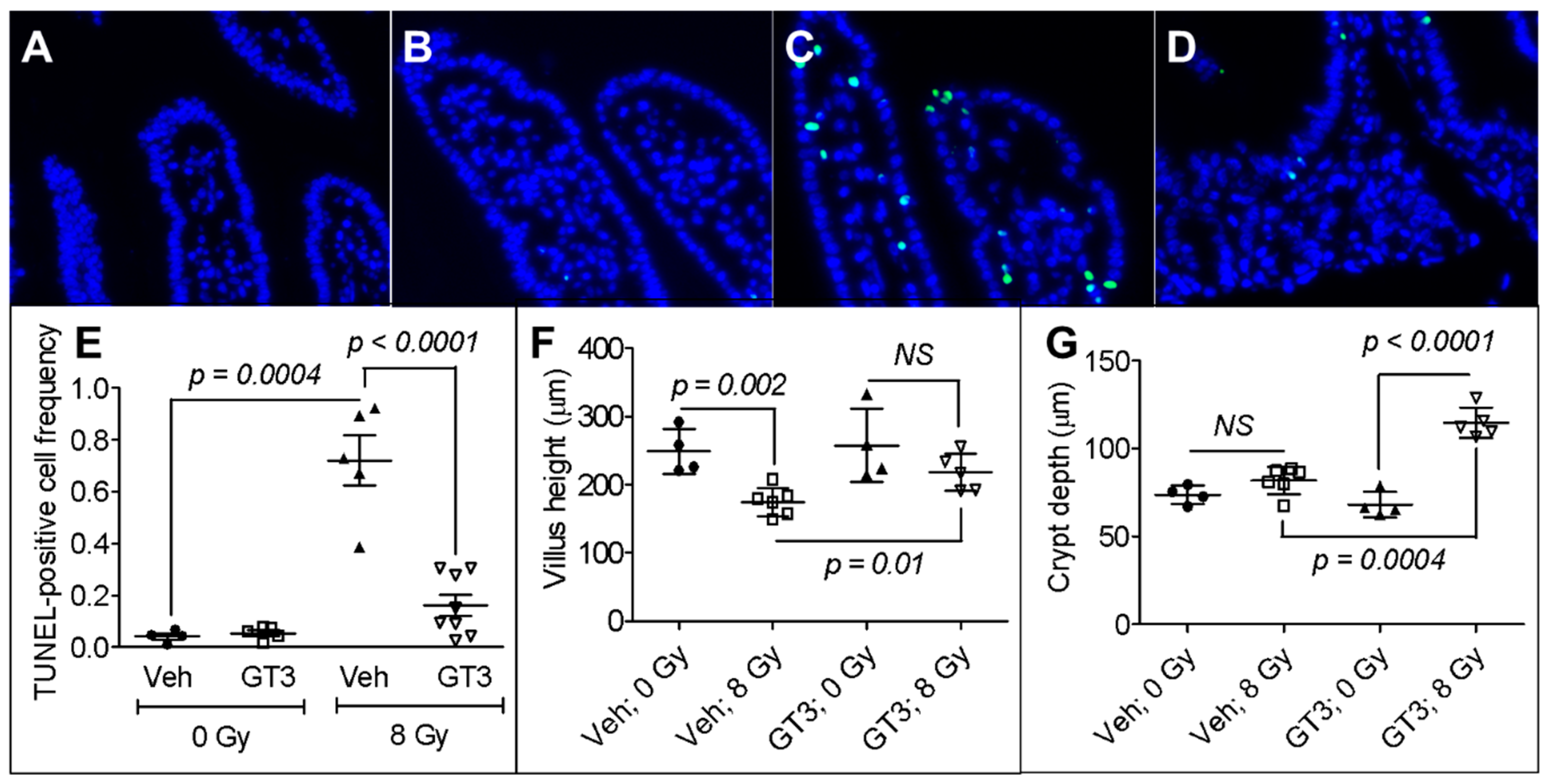 Antioxidants Free Full Text Gamma Tocotrienol Protects The Intestine From Radiation Potentially By Accelerating Mesenchymal Immune Cell Recovery Html