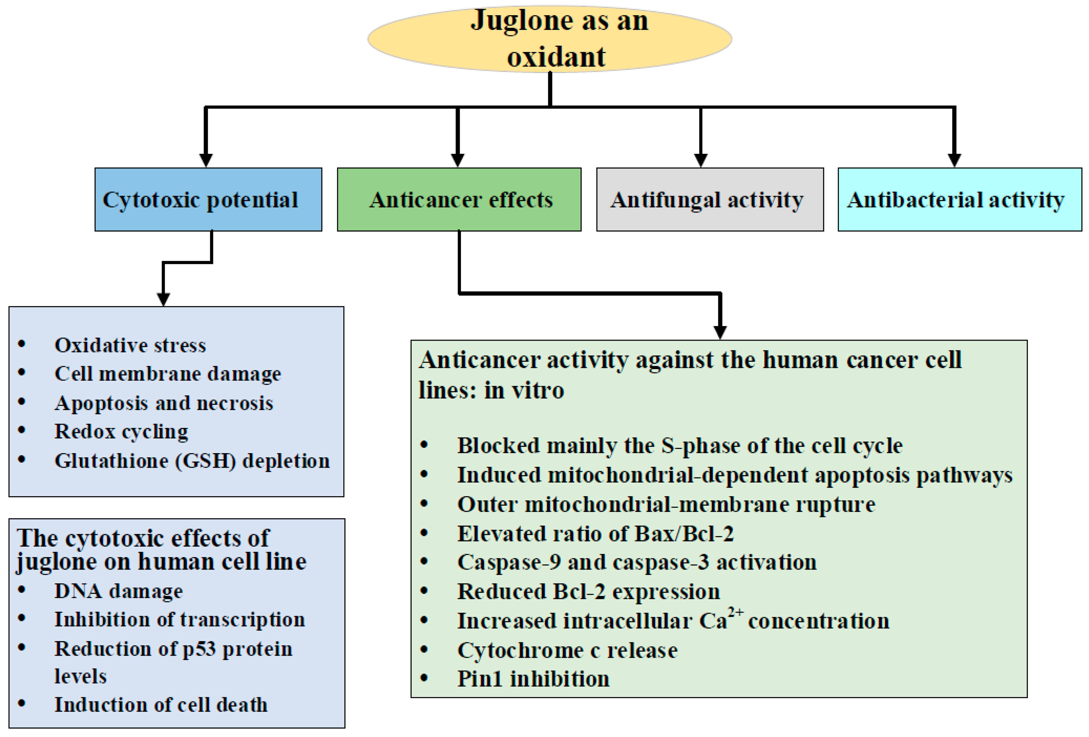 Antioxidants Free Full Text Juglone In Oxidative Stress And Cell Signaling Html