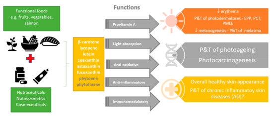 Crucial Roles of Carotenoids as Bacterial Endogenous Defense