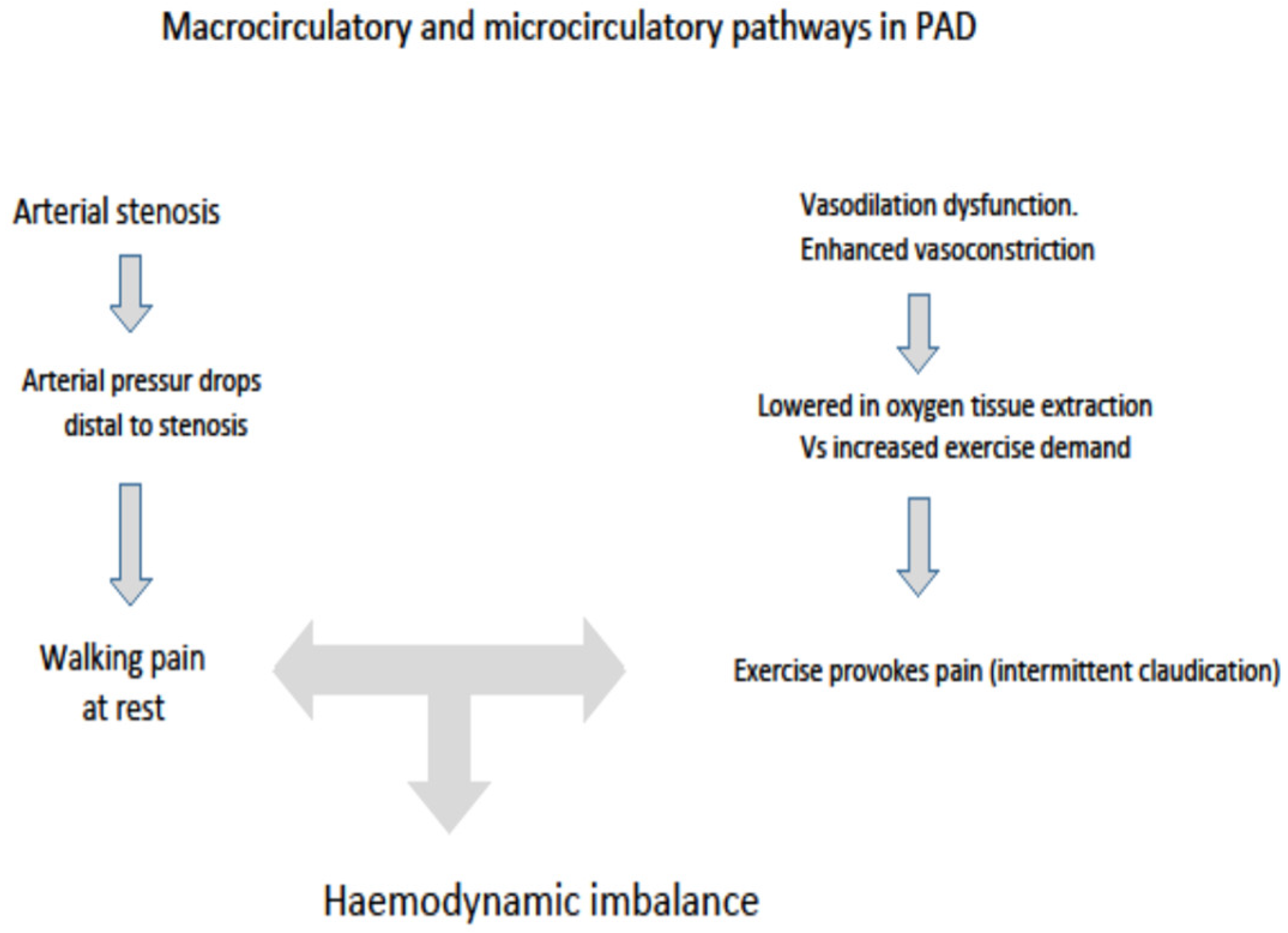 Antioxidants 08 00367 g001 Antioxidants 08 00367 g001