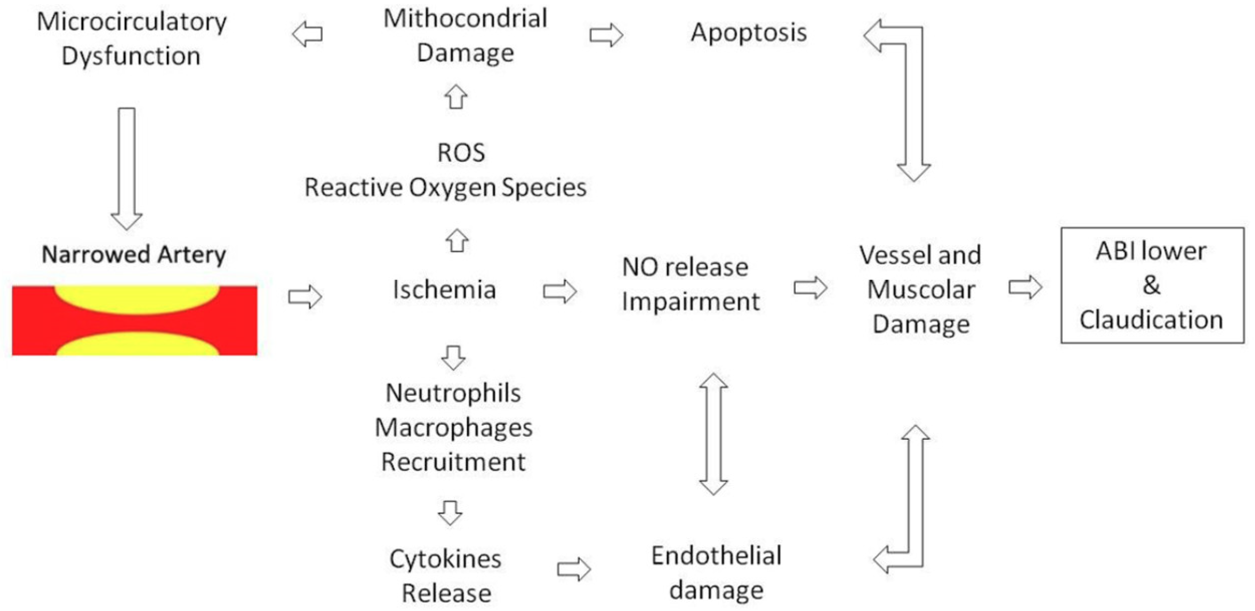 Antioxidants 08 00367 g002 Antioxidants 08 00367 g002