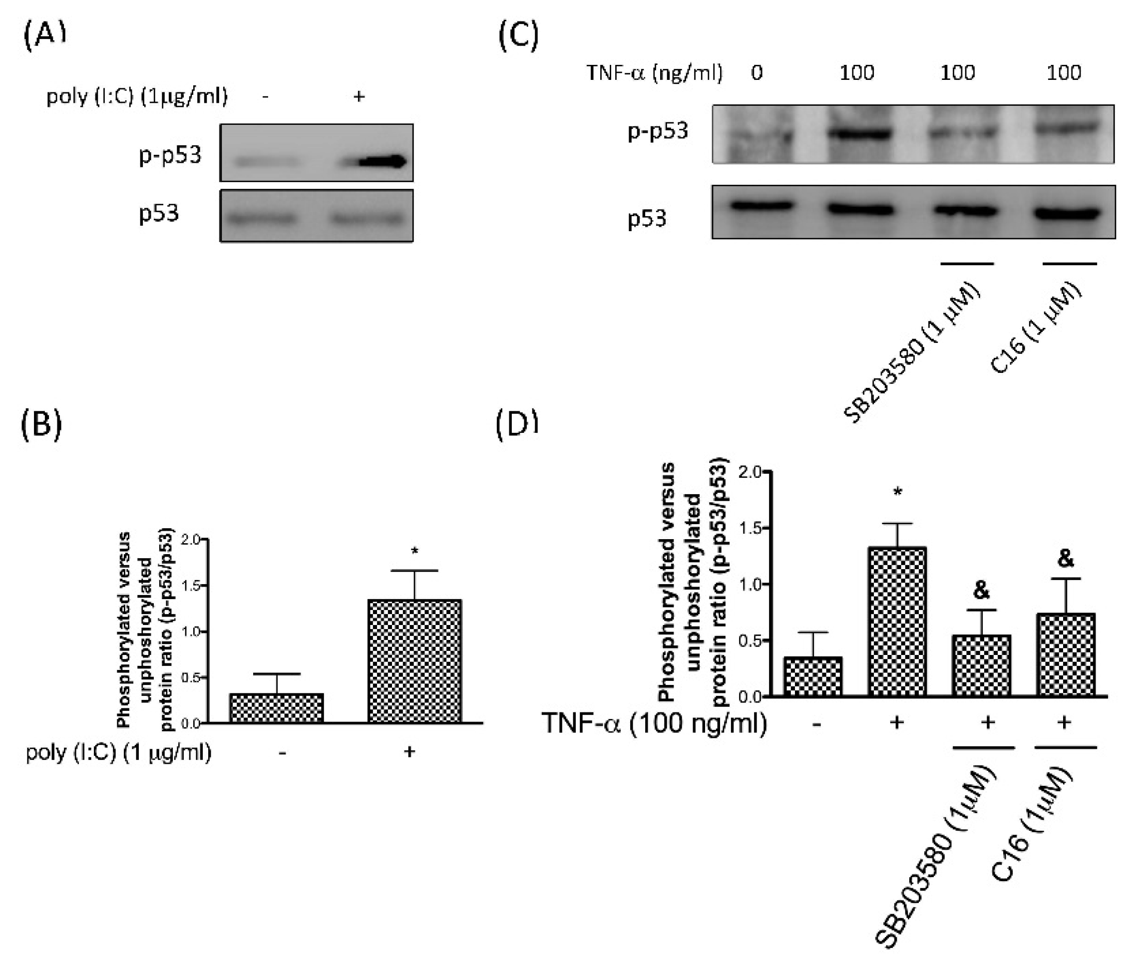Antioxidants 08 00370 g002