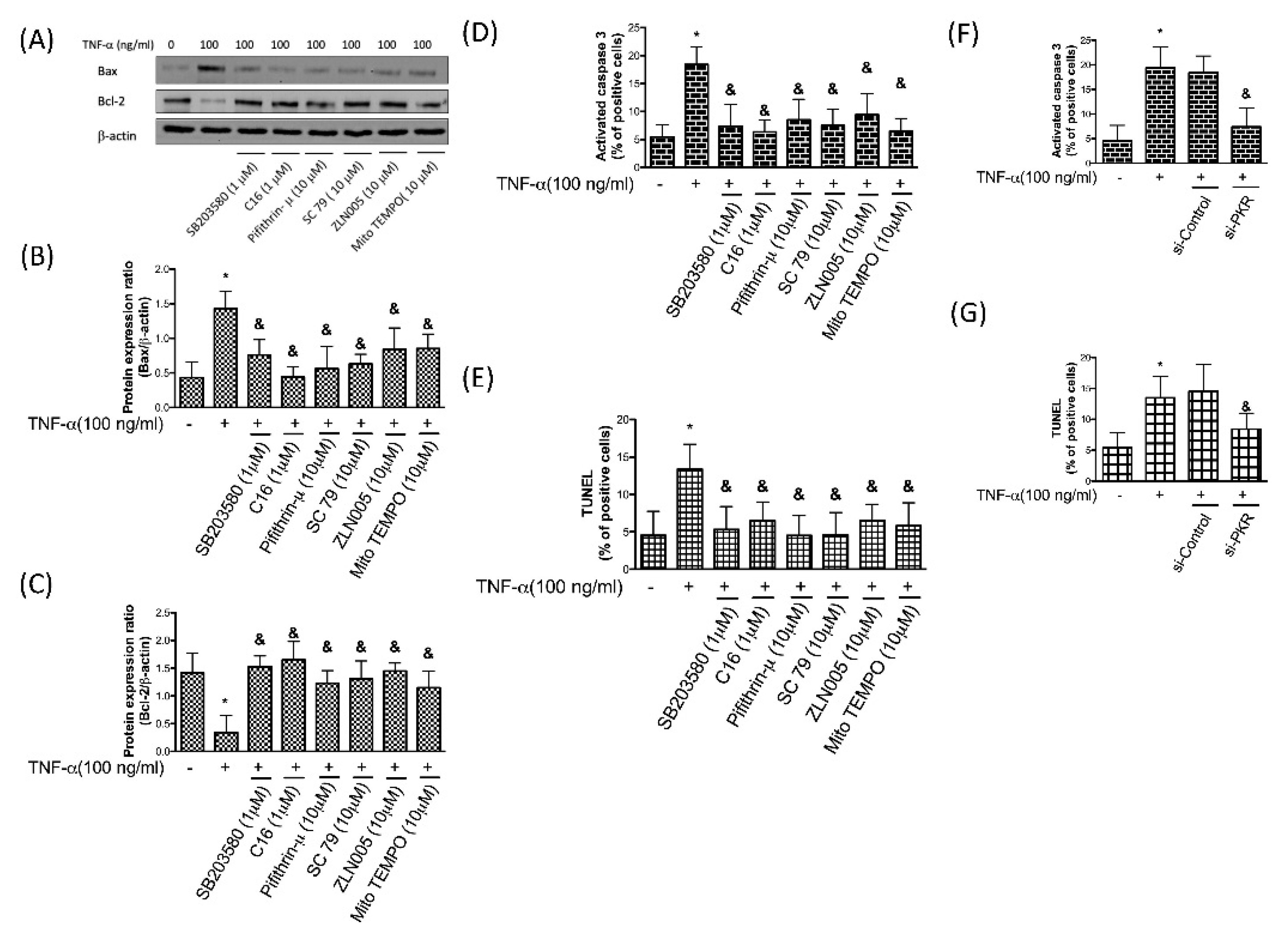 Antioxidants 08 00370 g007
