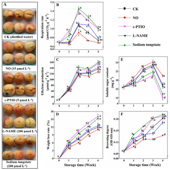 Antioxidants Free Full Text Regulation Of Hydrogen Sulfide Metabolism By Nitric Oxide Inhibitors And The Quality Of Peaches During Cold Storage Html