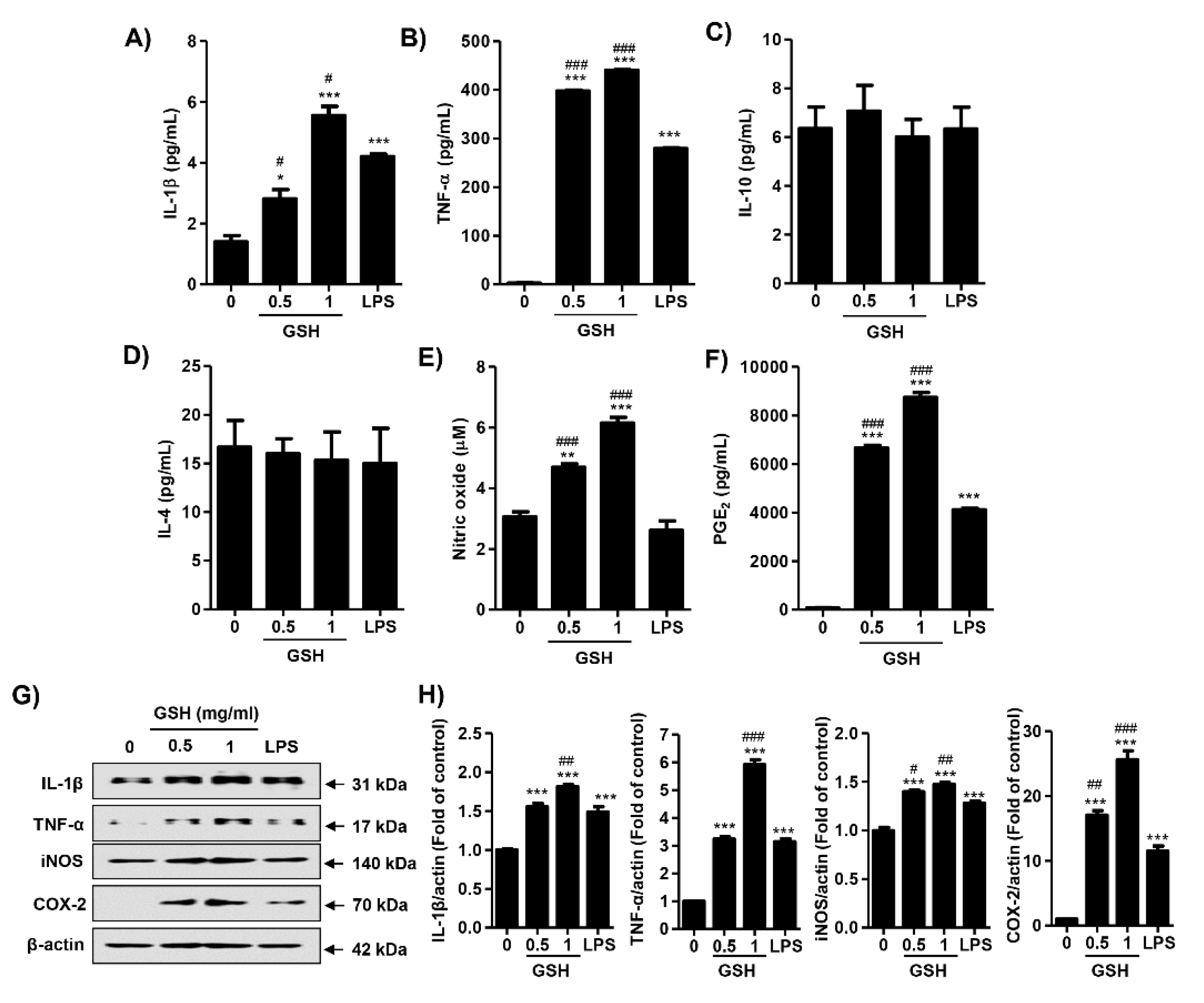 Antioxidants Free Full Text Glutathione Induced Immune Stimulatory Activity By Promoting M1 Like Macrophages Polarization Via Potential Ros Scavenging Capacity