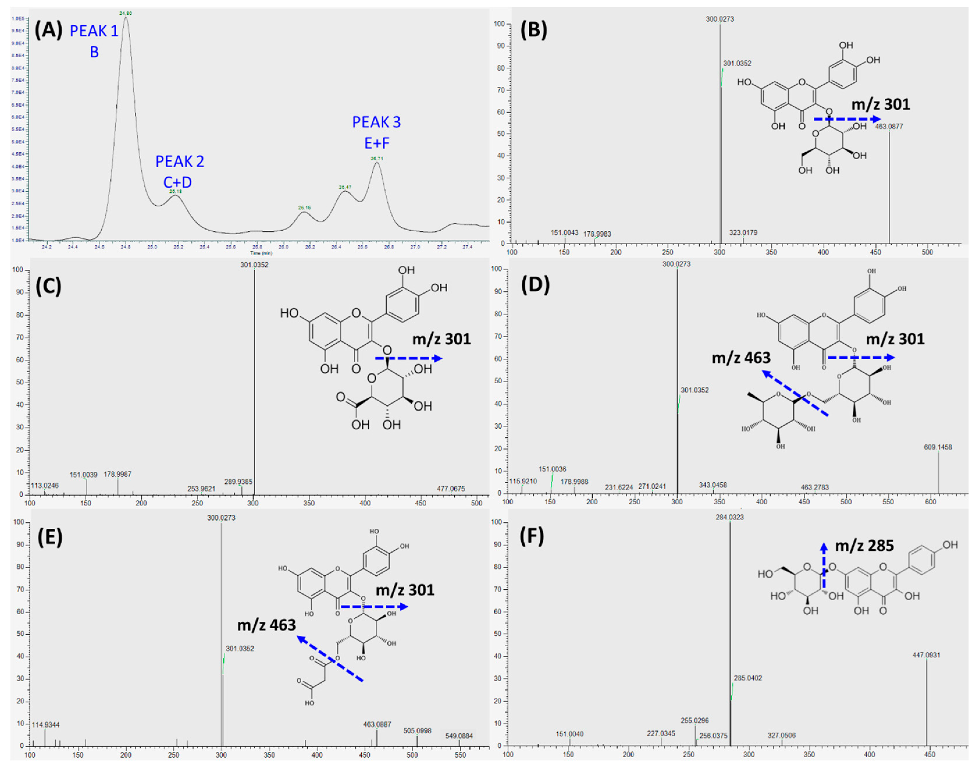 Antioxidants 08 00428 g005
