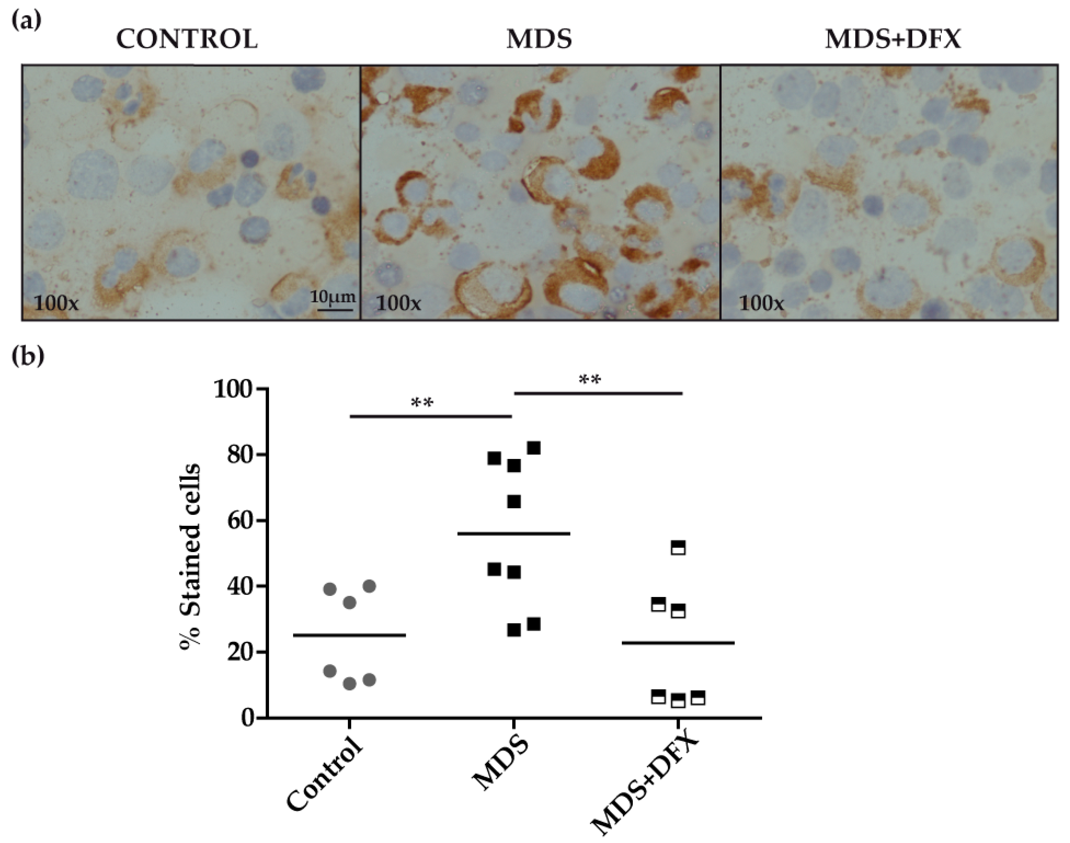 Antioxidants 08 00508 g001 Antioxidants 08 00508 g001