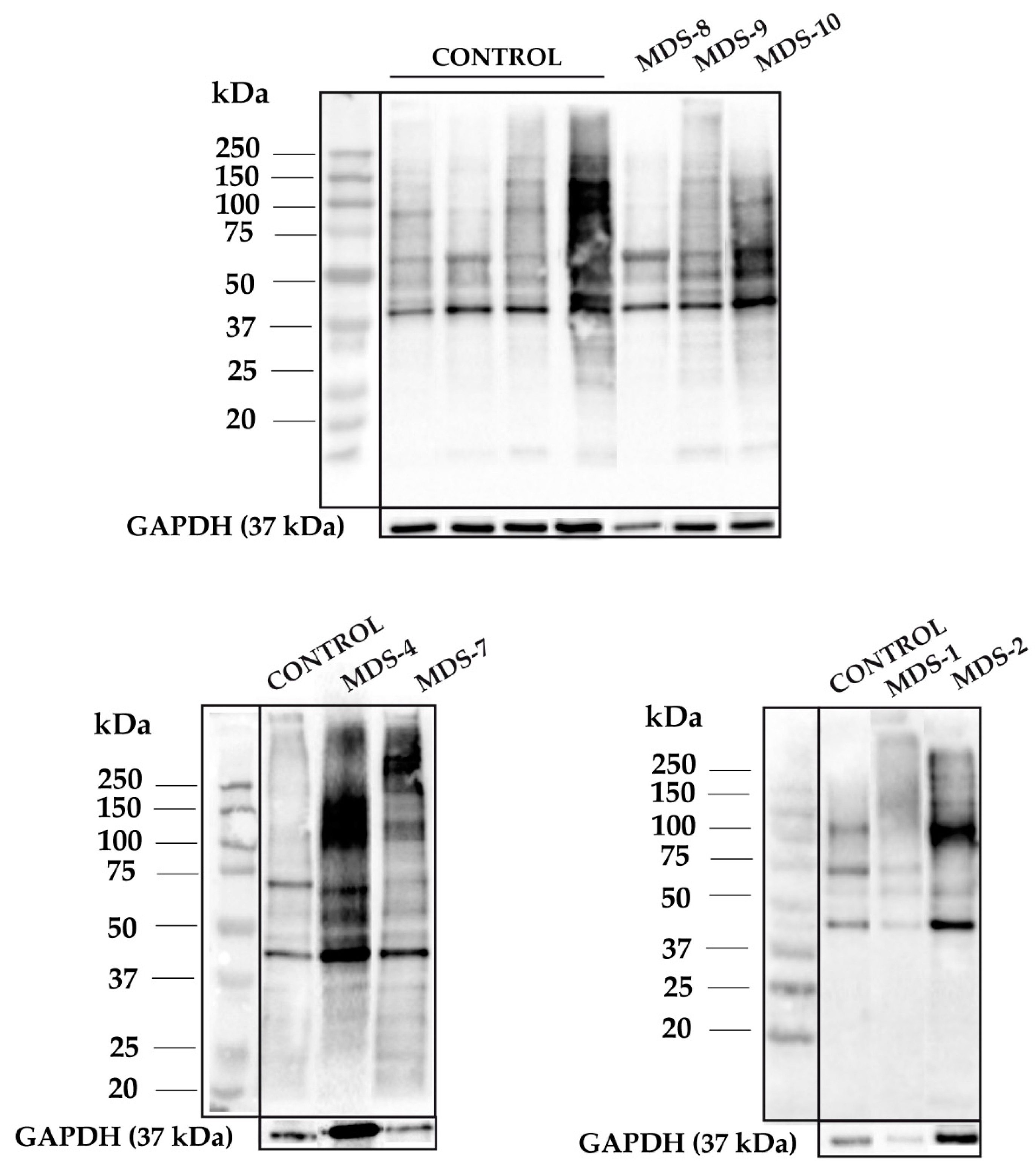 Antioxidants 08 00508 g0a2 Antioxidants 08 00508 g0a2