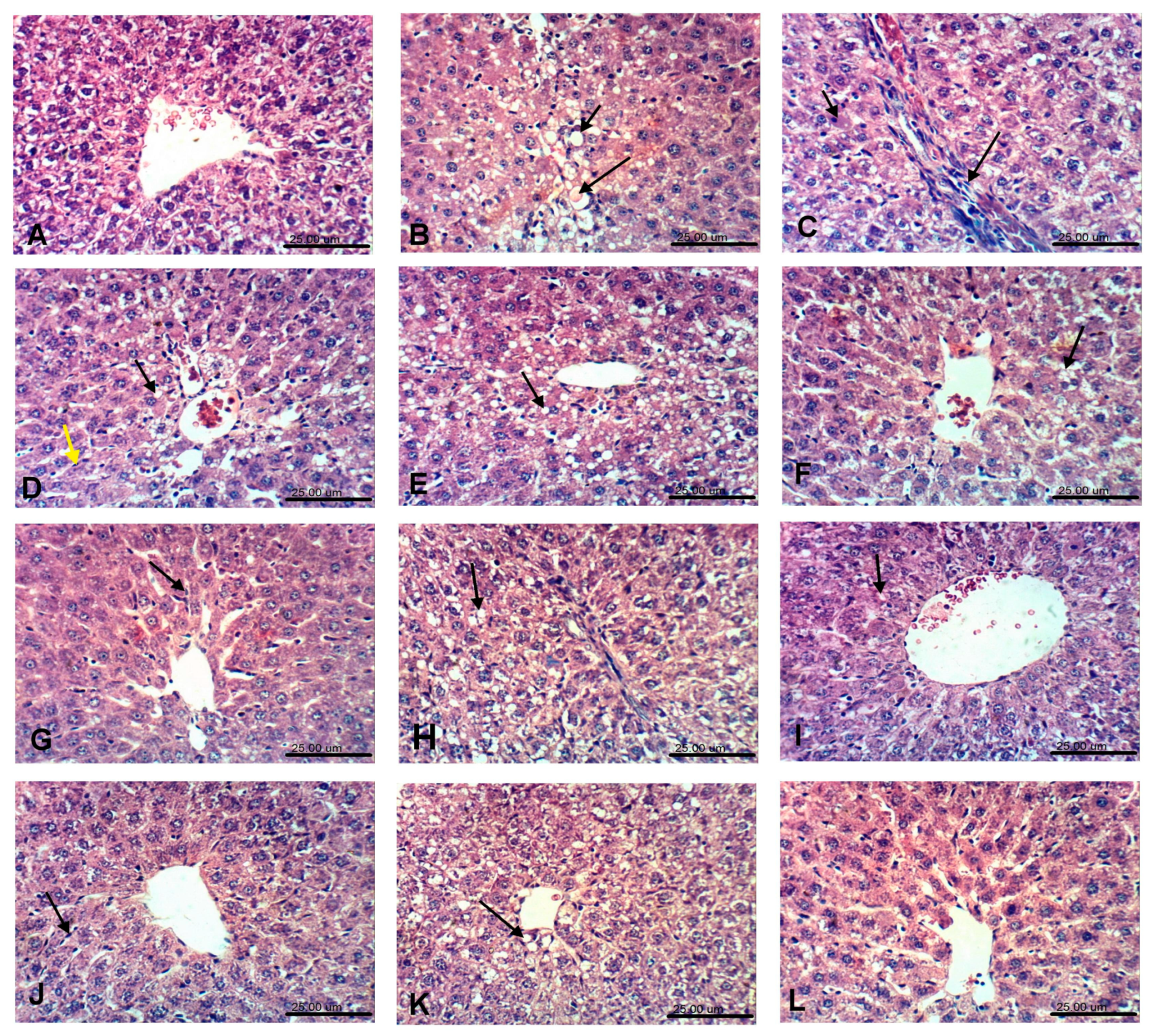 Antioxidants 08 00646 g002