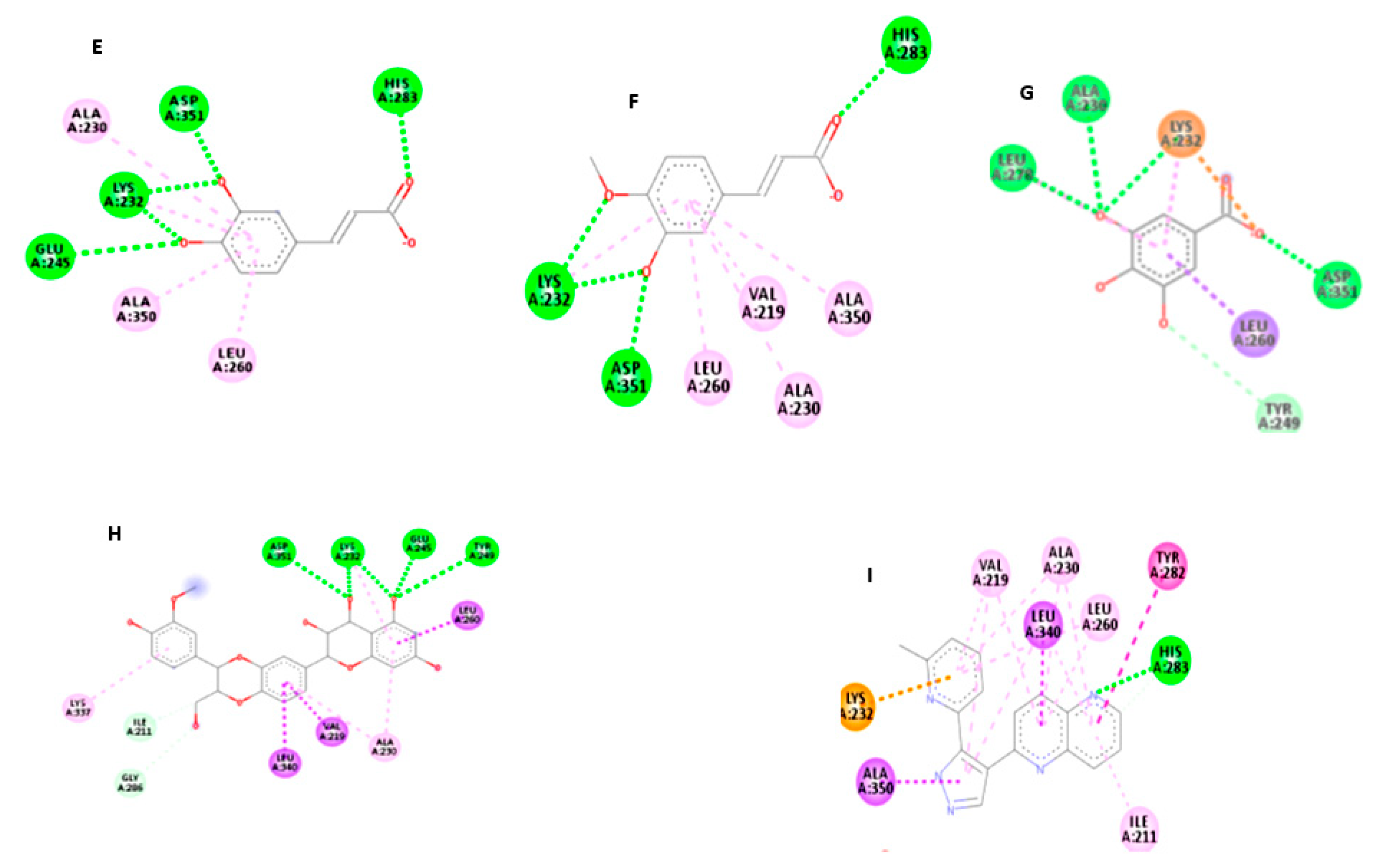 Antioxidants 08 00646 g012
