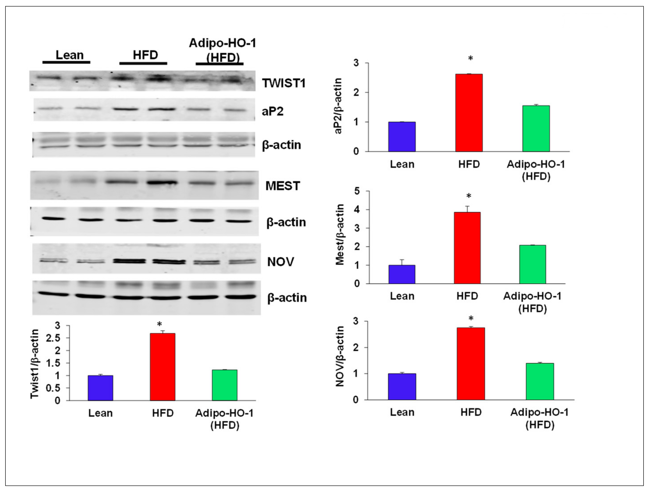 Antioxidants 09 00040 g004 Antioxidants 09 00040 g004