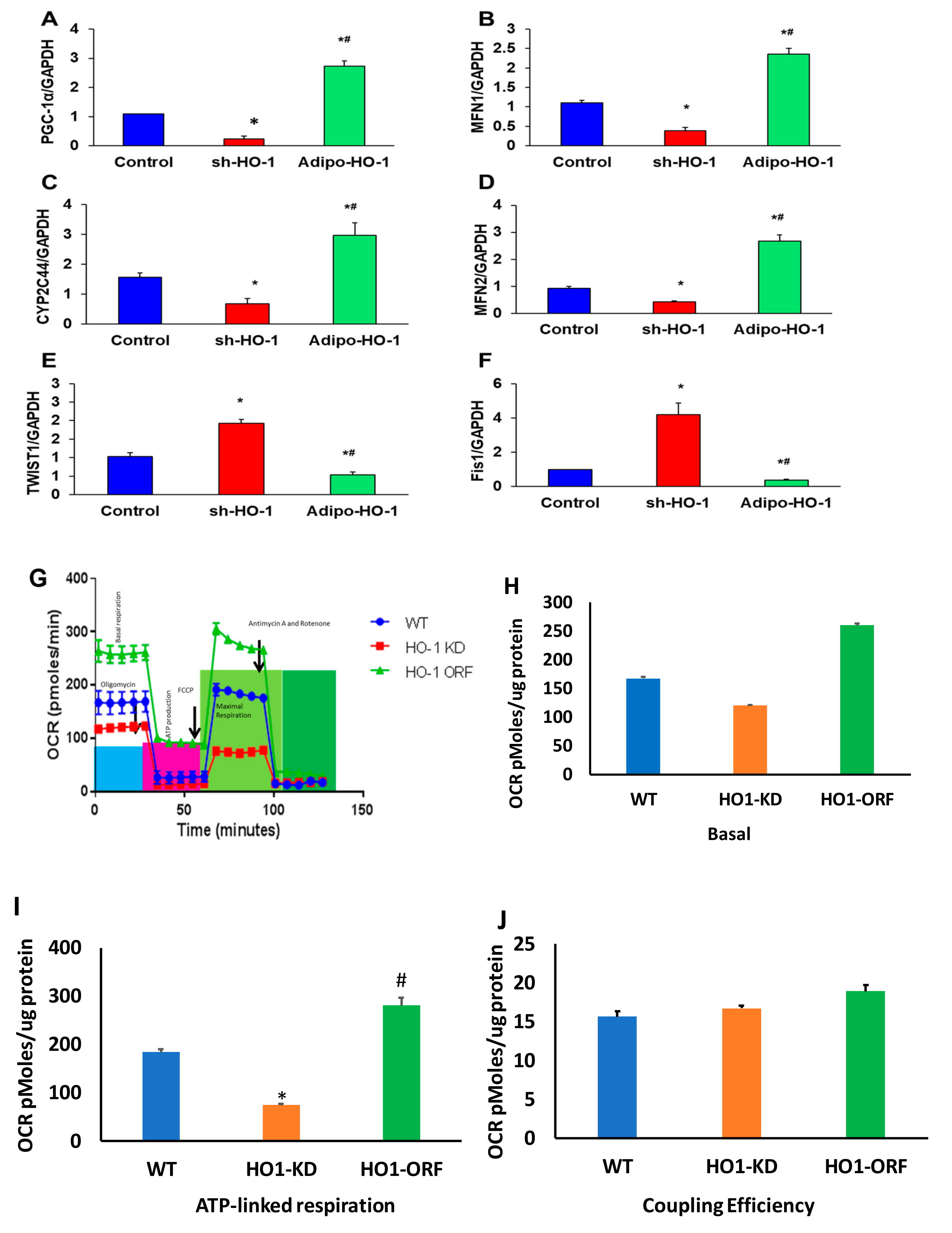 Antioxidants 09 00040 g007 Antioxidants 09 00040 g007