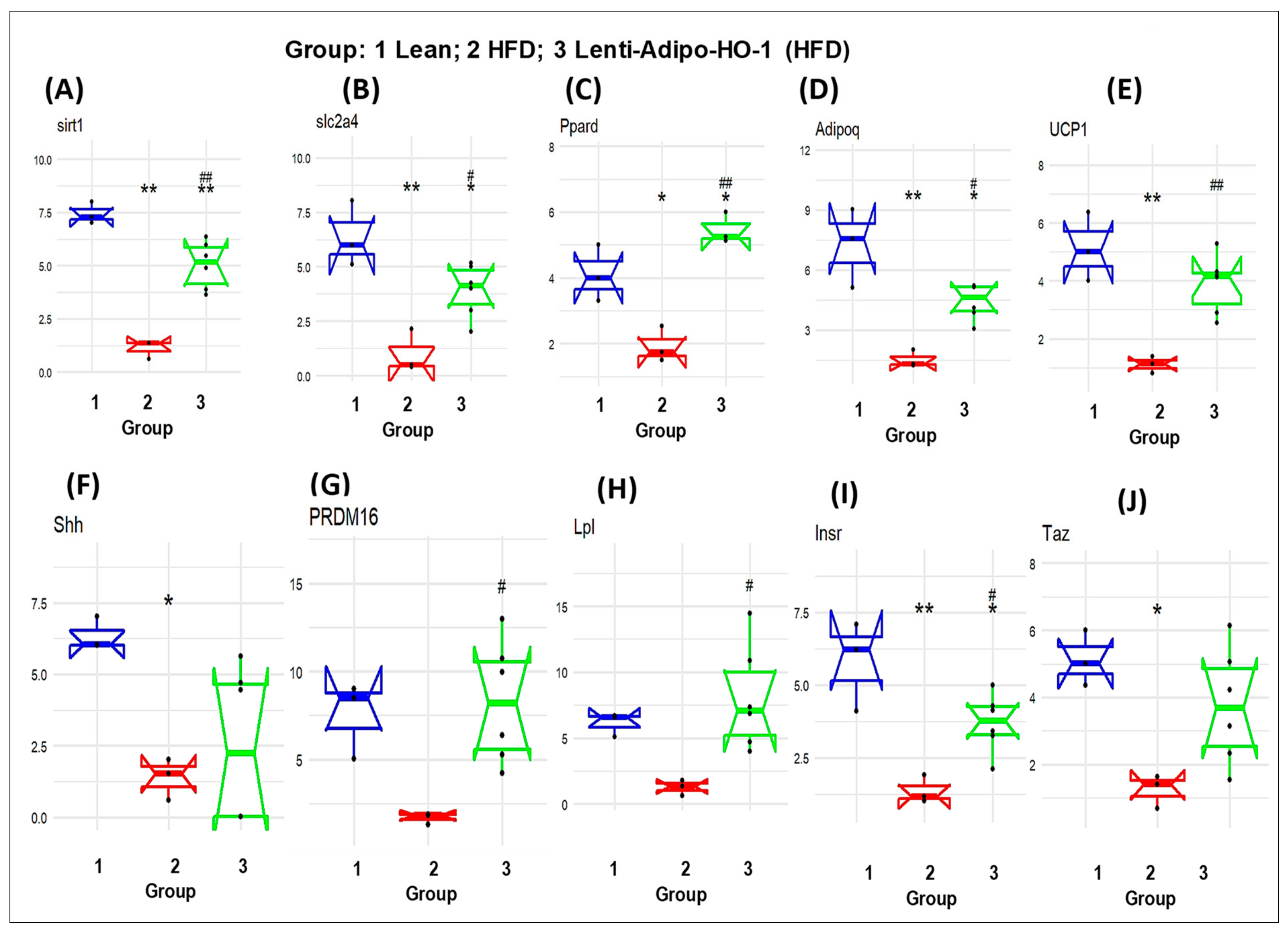 Antioxidants 09 00040 g011 Antioxidants 09 00040 g011