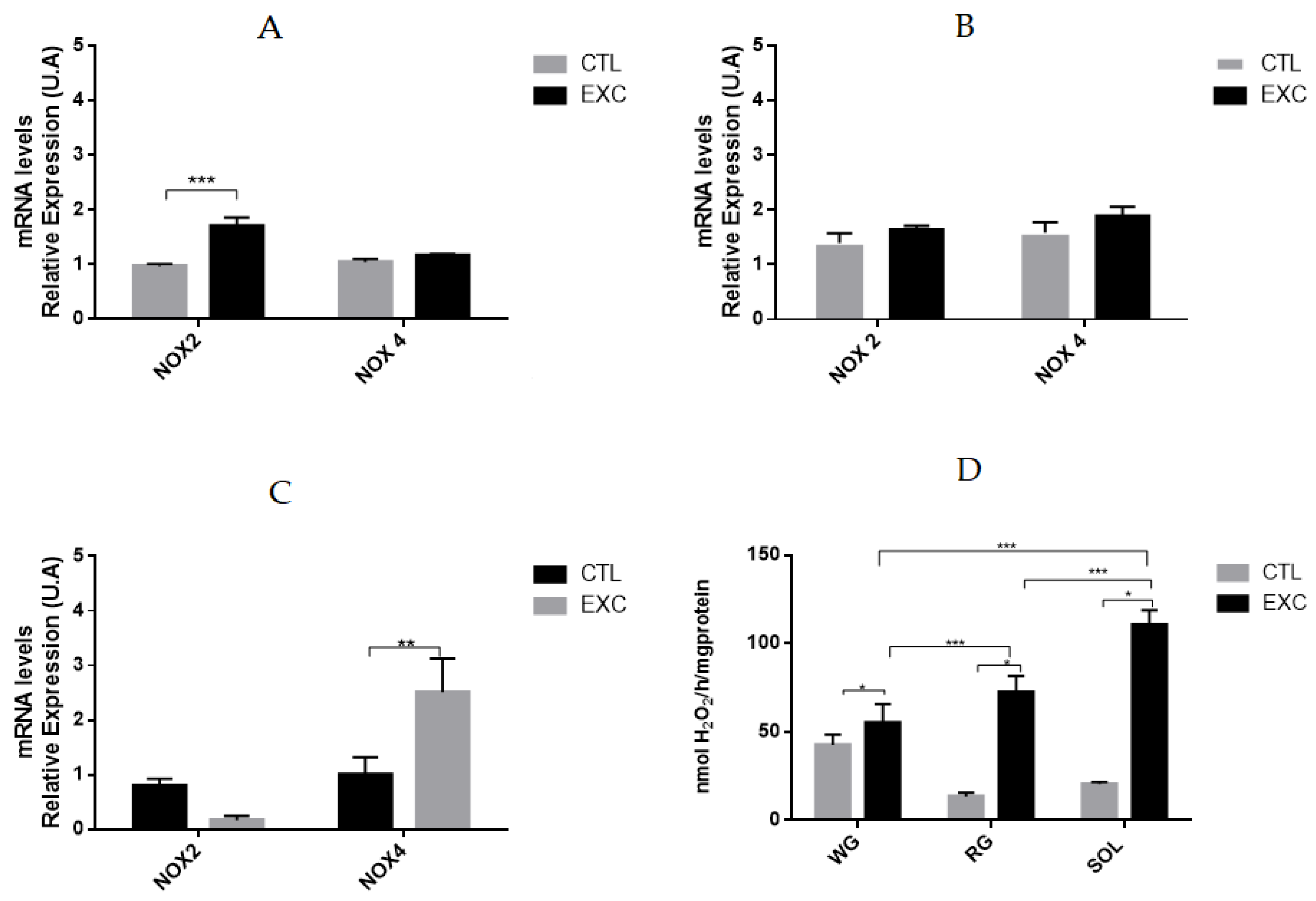 Antioxidants Free Full Text Strenuous Acute Exercise Induces