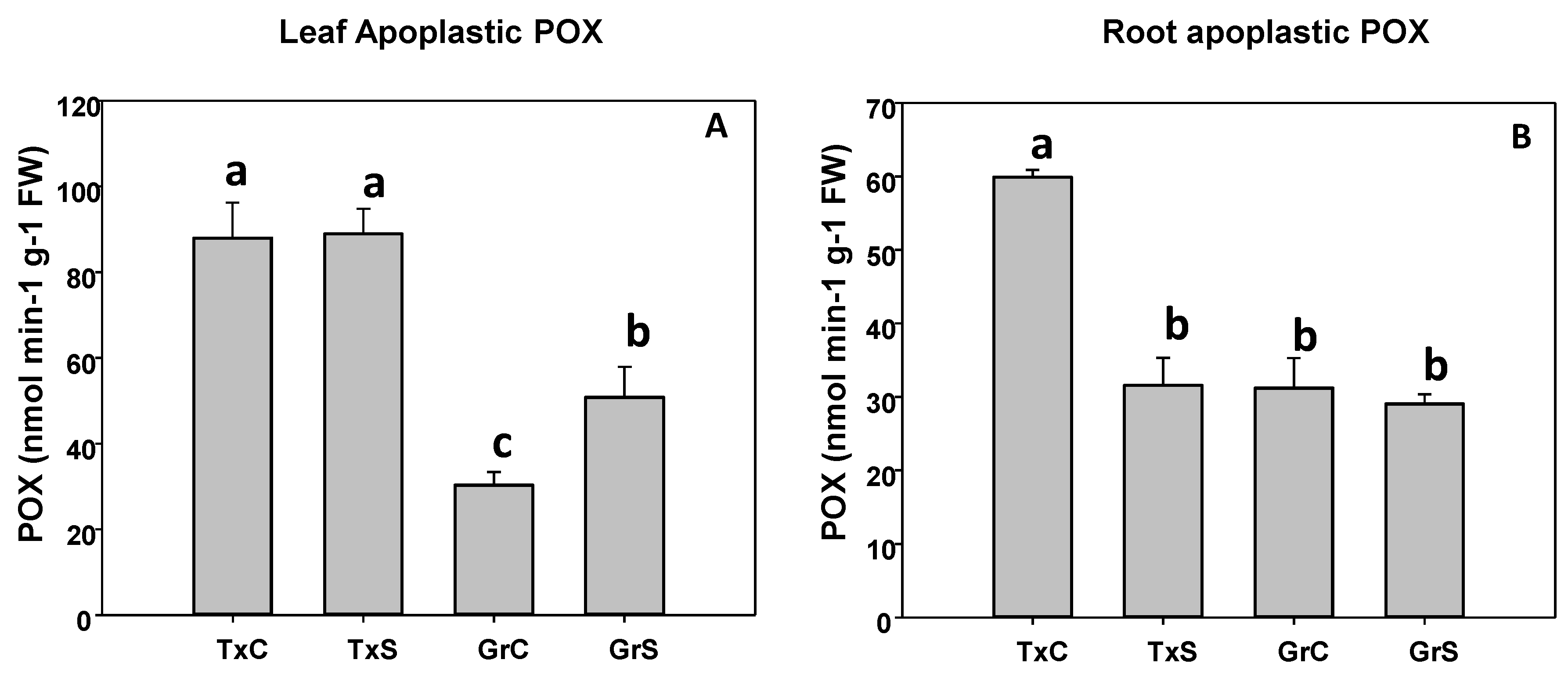 Antioxidants Free Full Text The Apoplastic And Symplastic Antioxidant System In Onion Response To Long Term Salt Stress Html