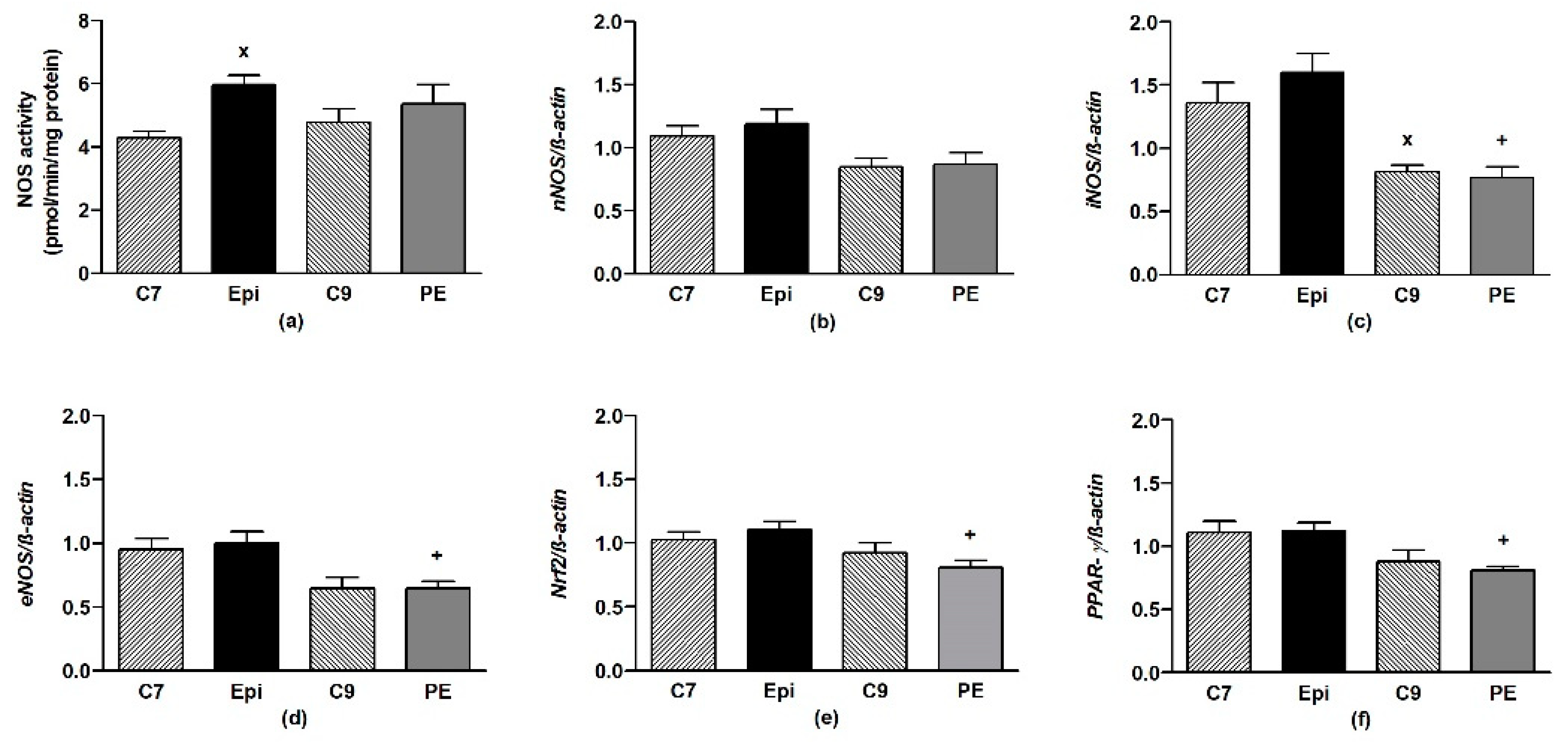 Antioxidants 09 00096 g005 Antioxidants 09 00096 g005