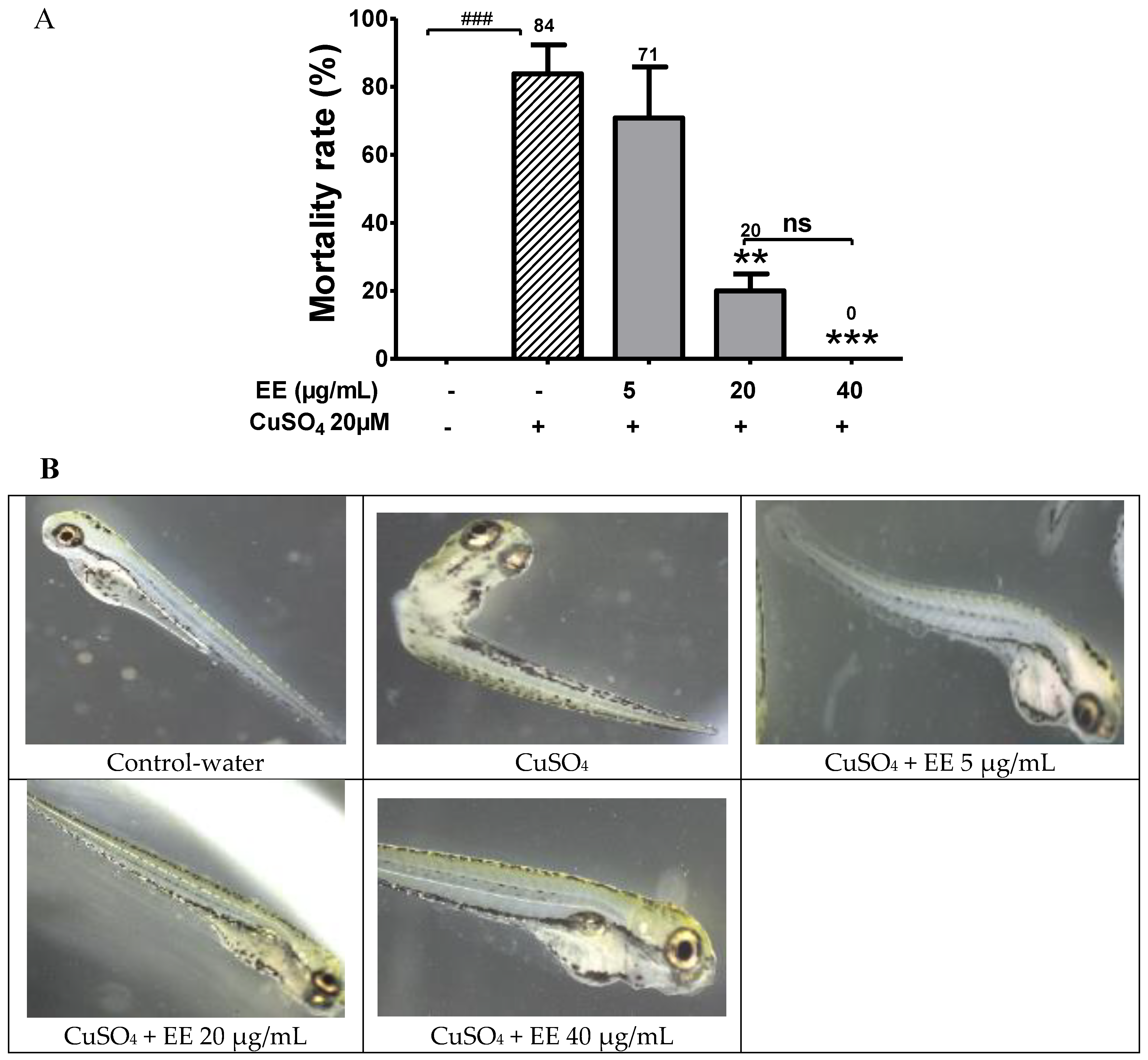 Antioxidants 09 00192 g001