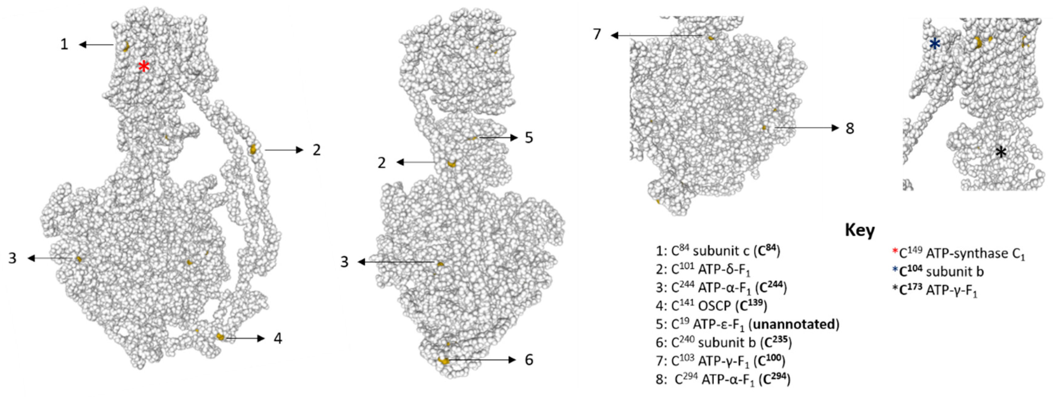 Antioxidants 09 00215 g002