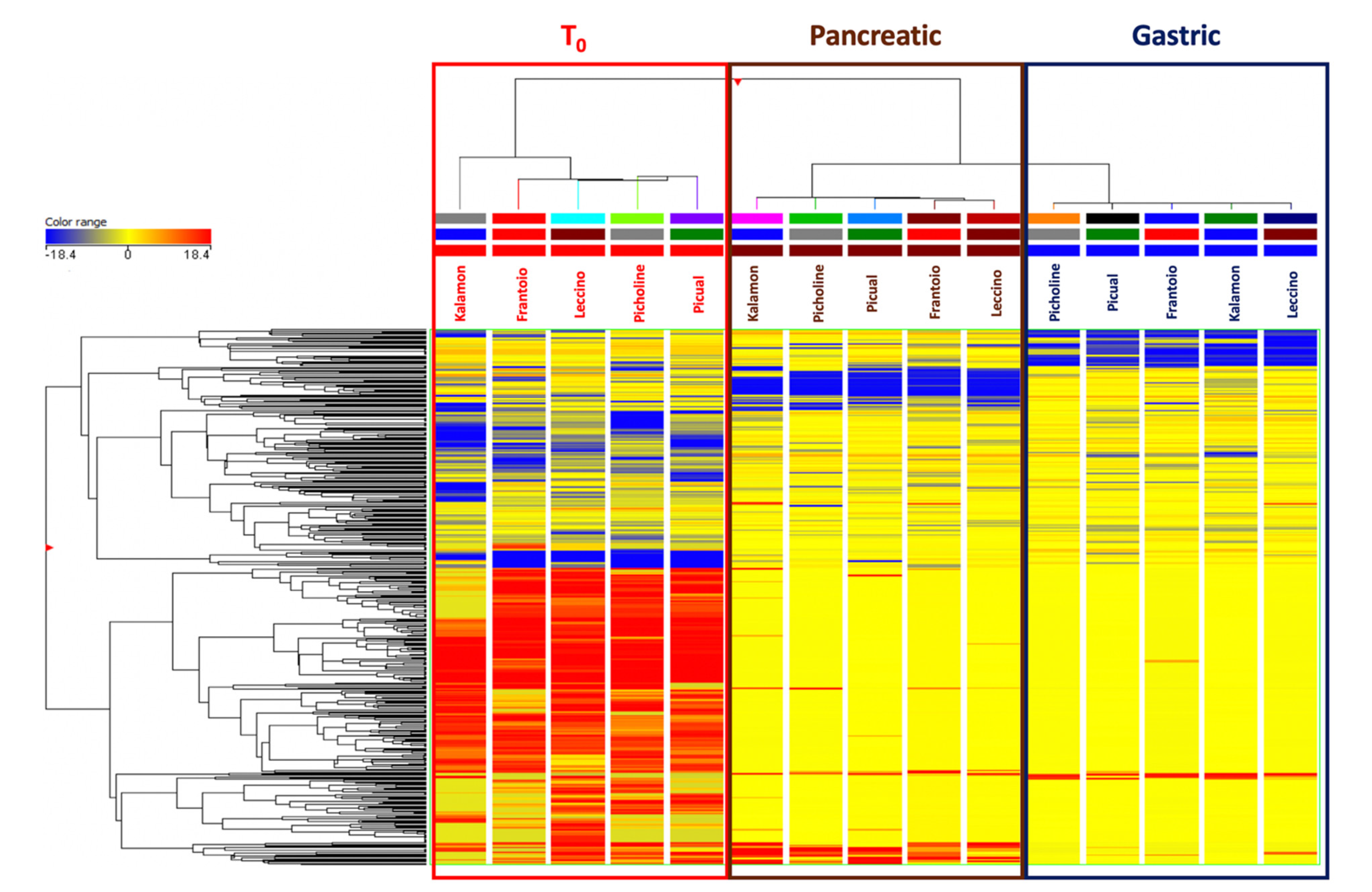 Antioxidants 09 00302 g001 Antioxidants 09 00302 g001