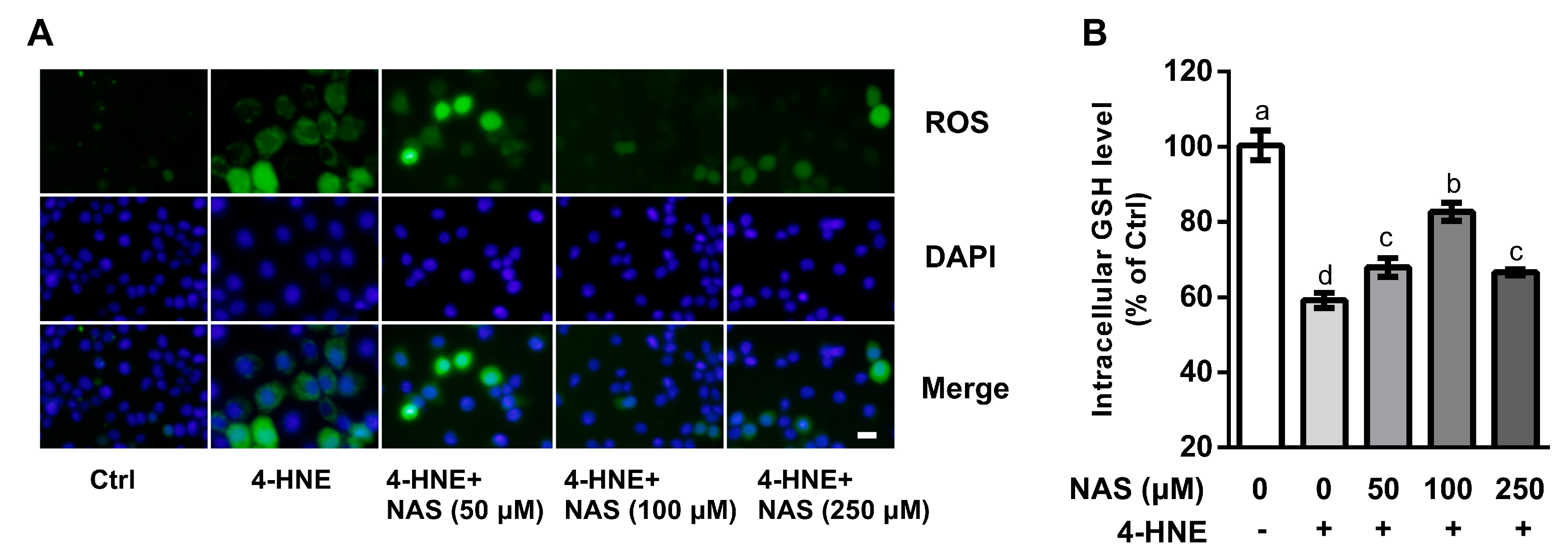 Antioxidants 09 00303 g002 Antioxidants 09 00303 g002