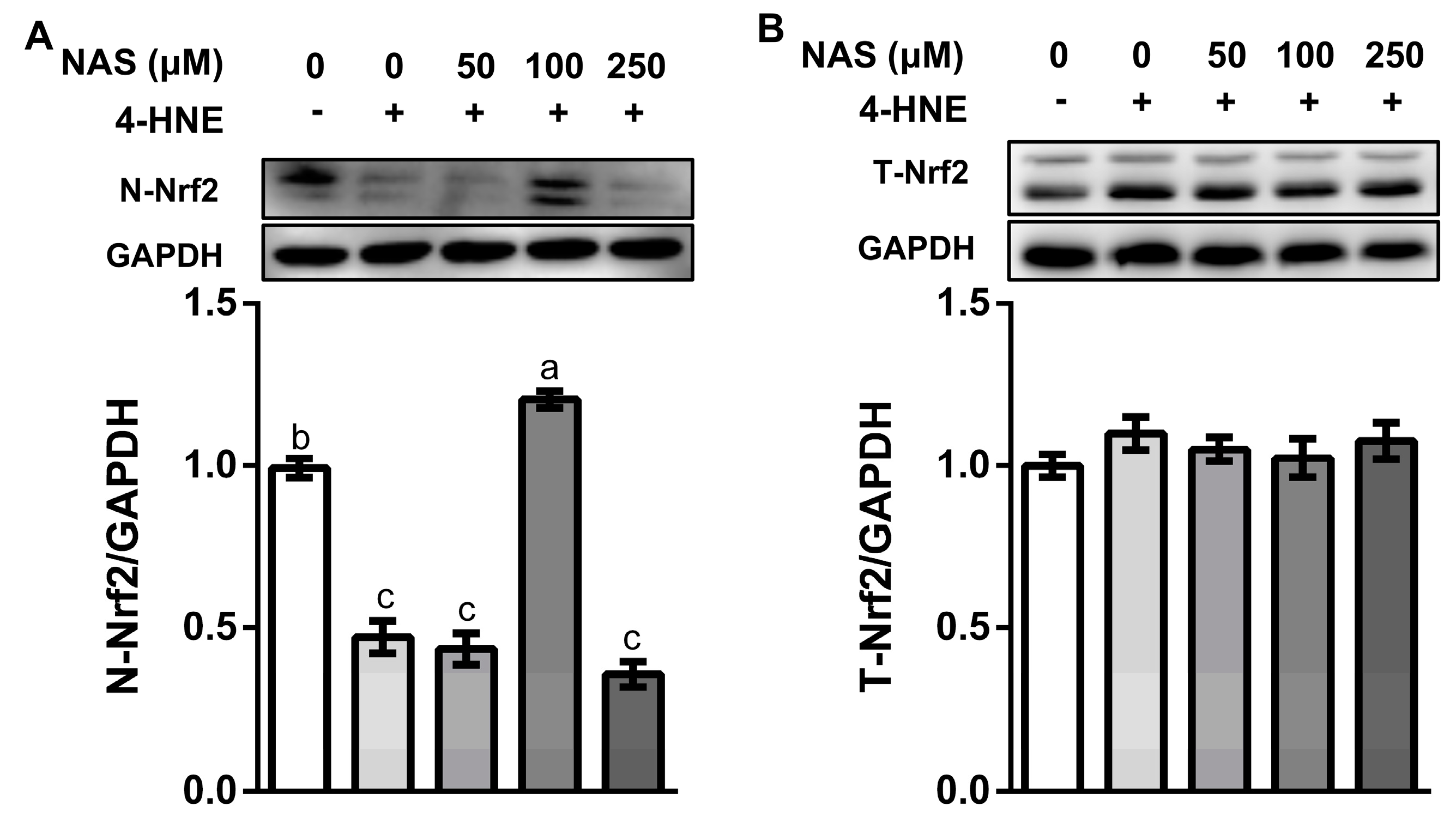 Antioxidants 09 00303 g004 Antioxidants 09 00303 g004