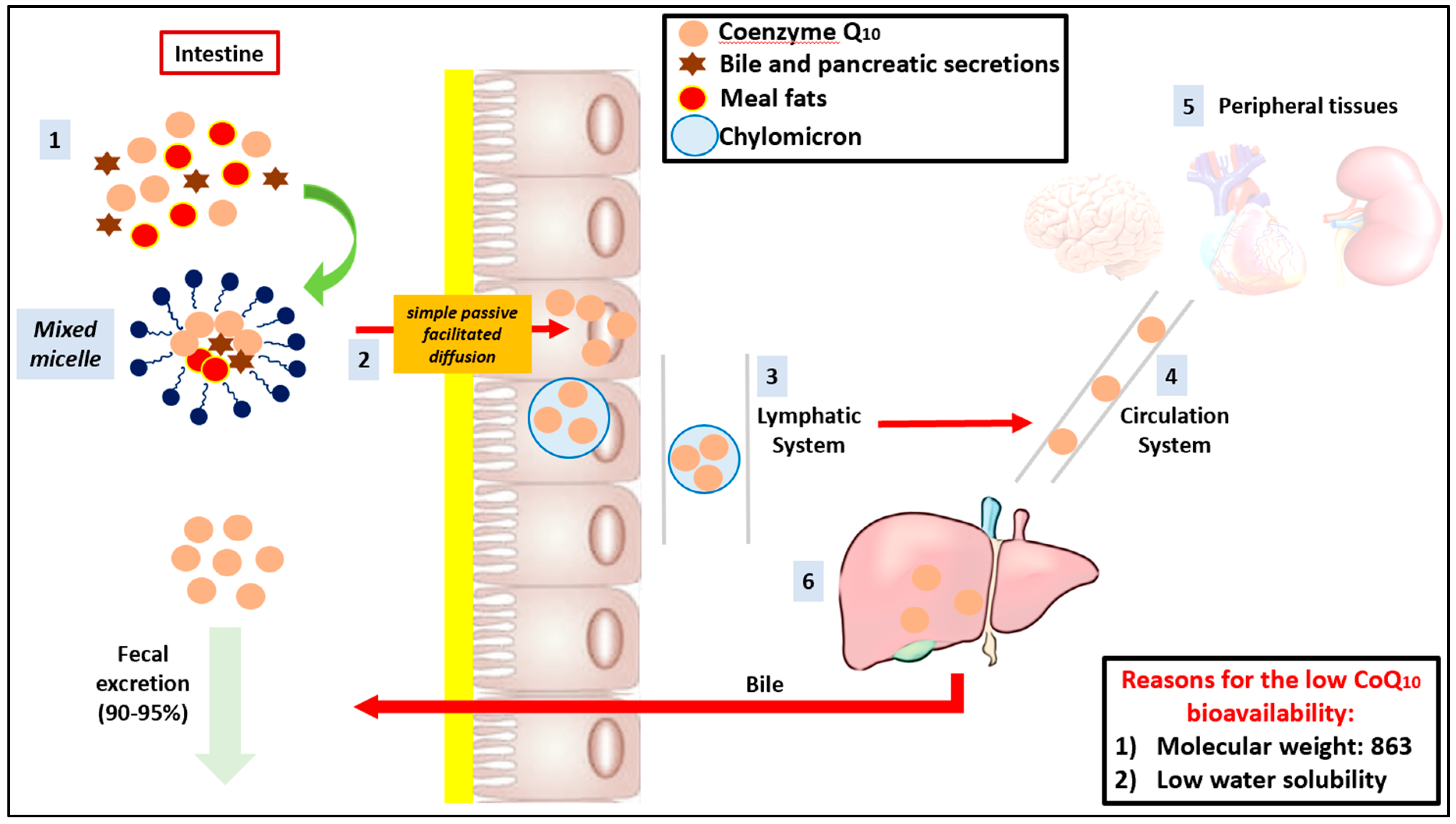 Antioxidants | Free Full-Text | Coenzyme Q10: Clinical Applications in  Cardiovascular Diseases