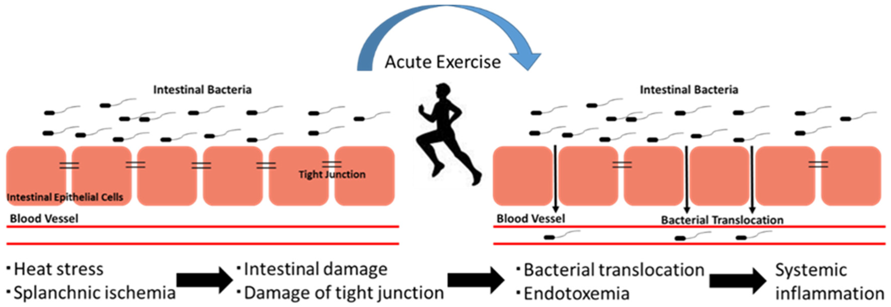 Reducing exercise-induced inflammation