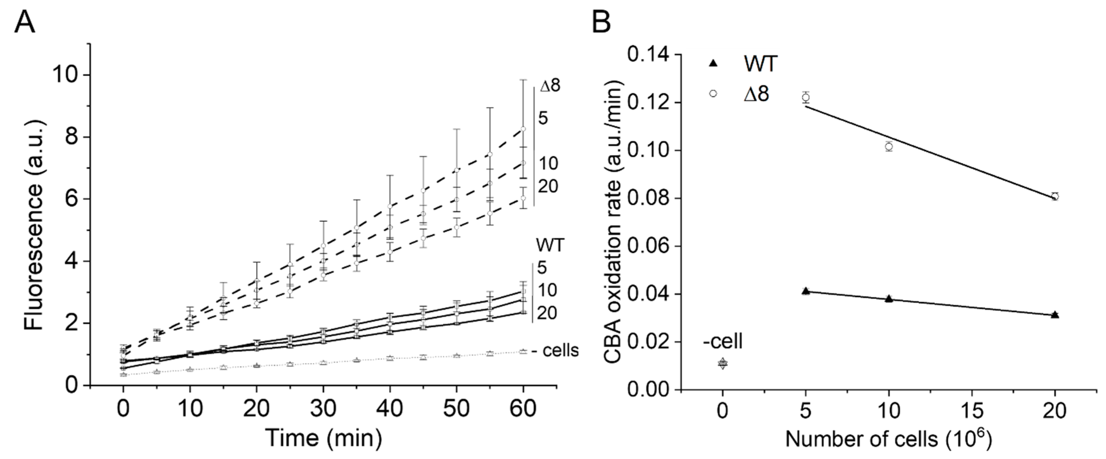 Antioxidants 09 00434 g002
