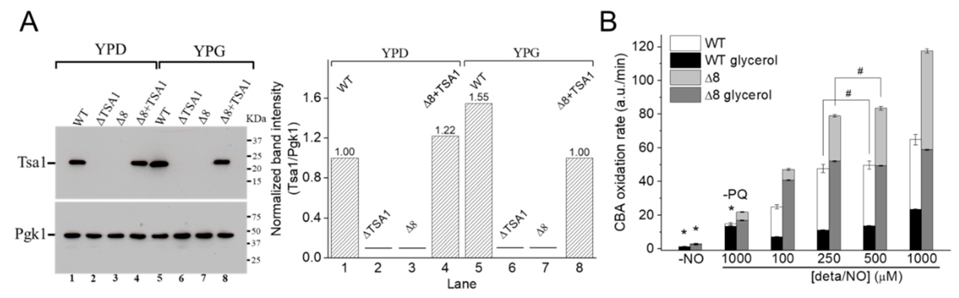 Antioxidants 09 00434 g006