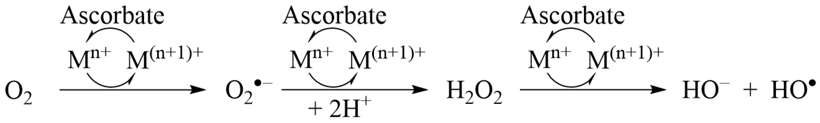 Antioxidants 09 00441 g001 Antioxidants 09 00441 g001