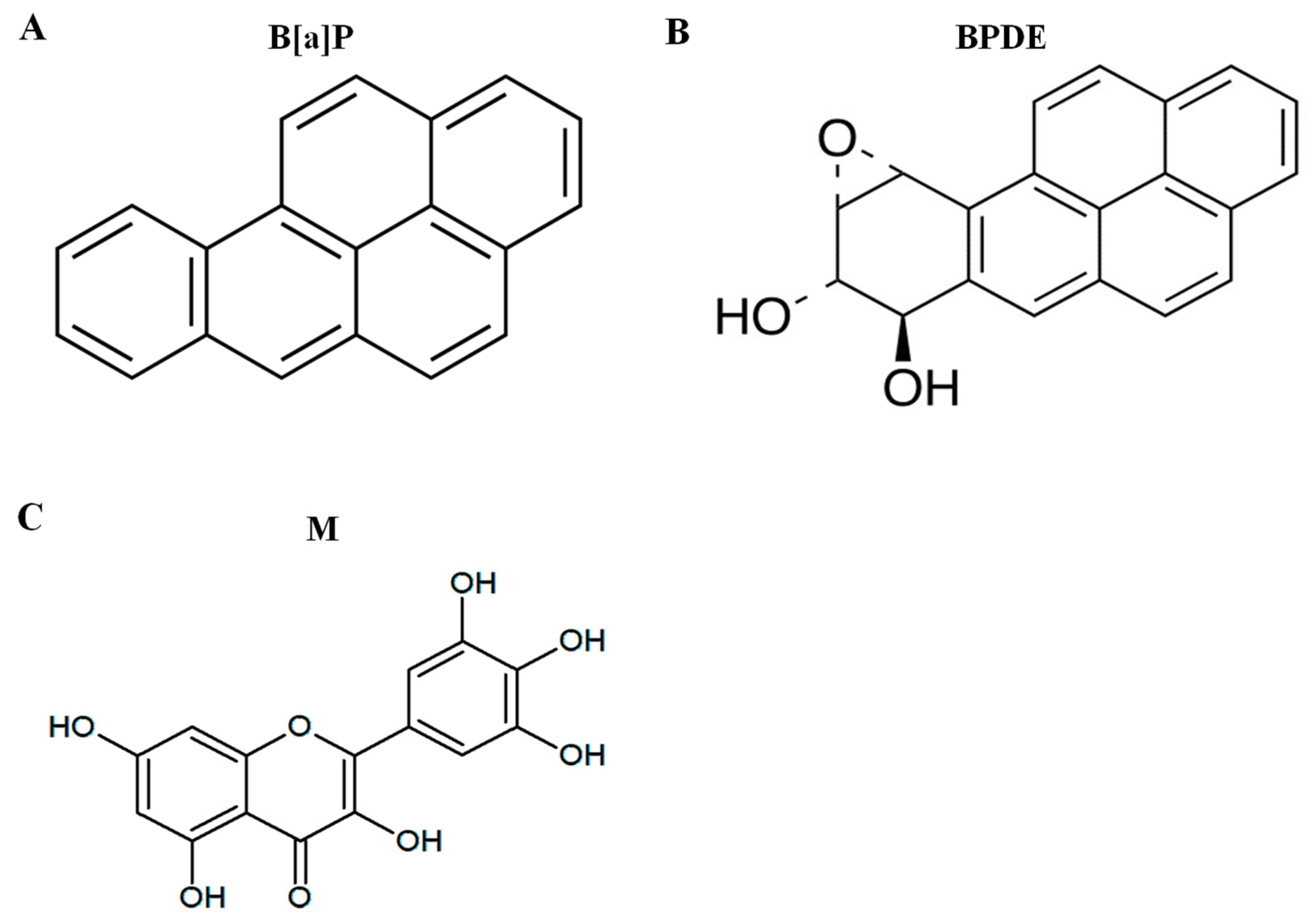 Benzo(a)pyrene - an overview