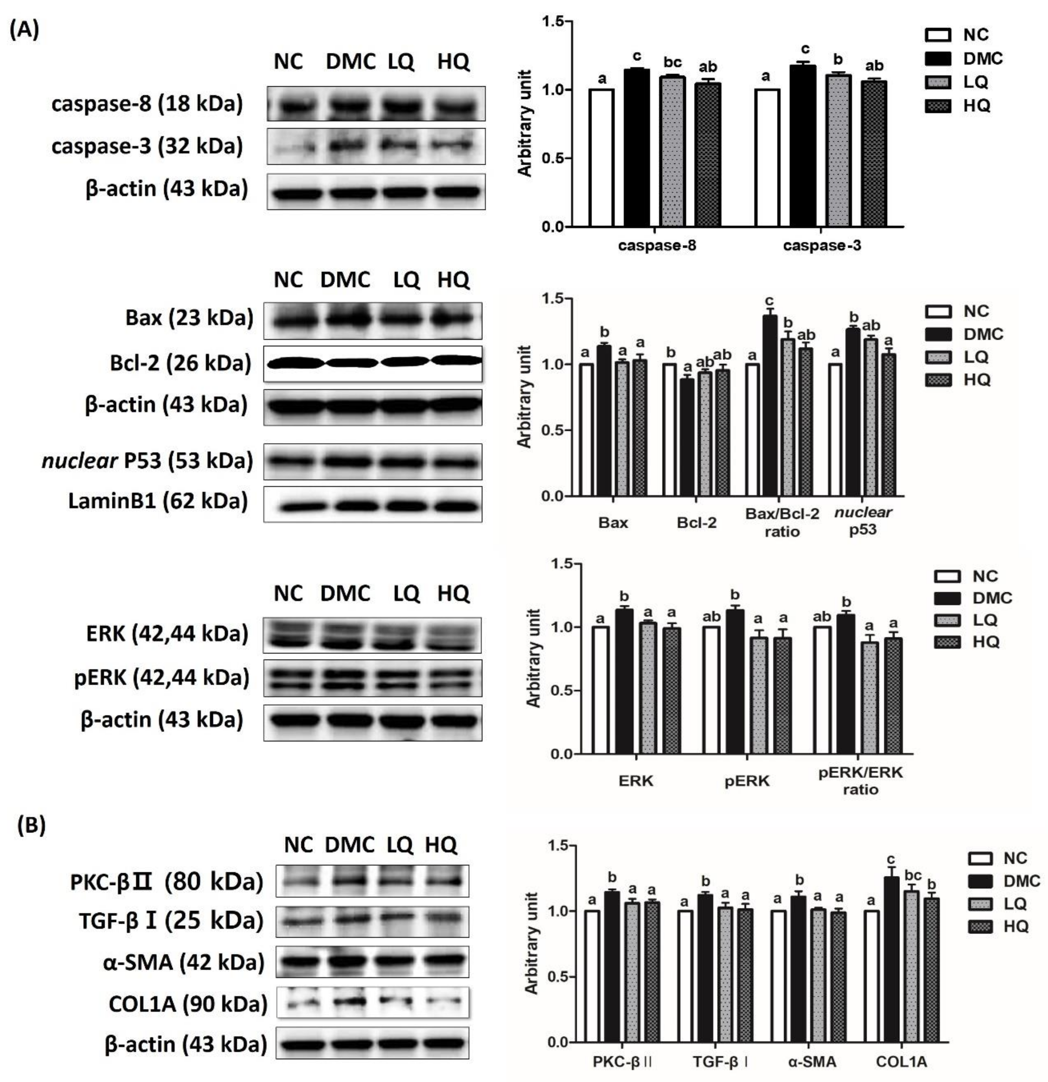 Antioxidants 09 00459 g006