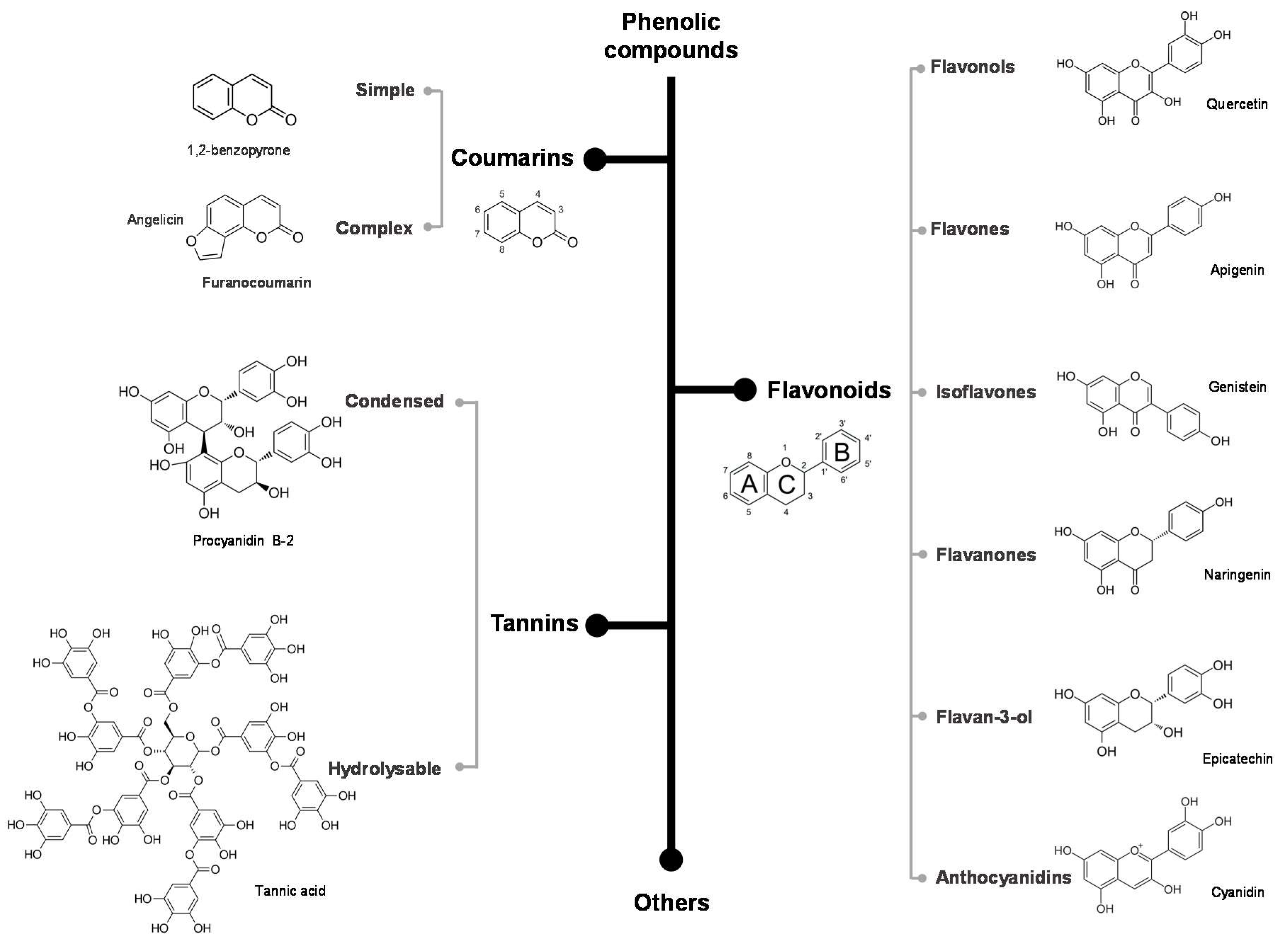 Antioxidants 09 00463 g001 Antioxidants 09 00463 g001