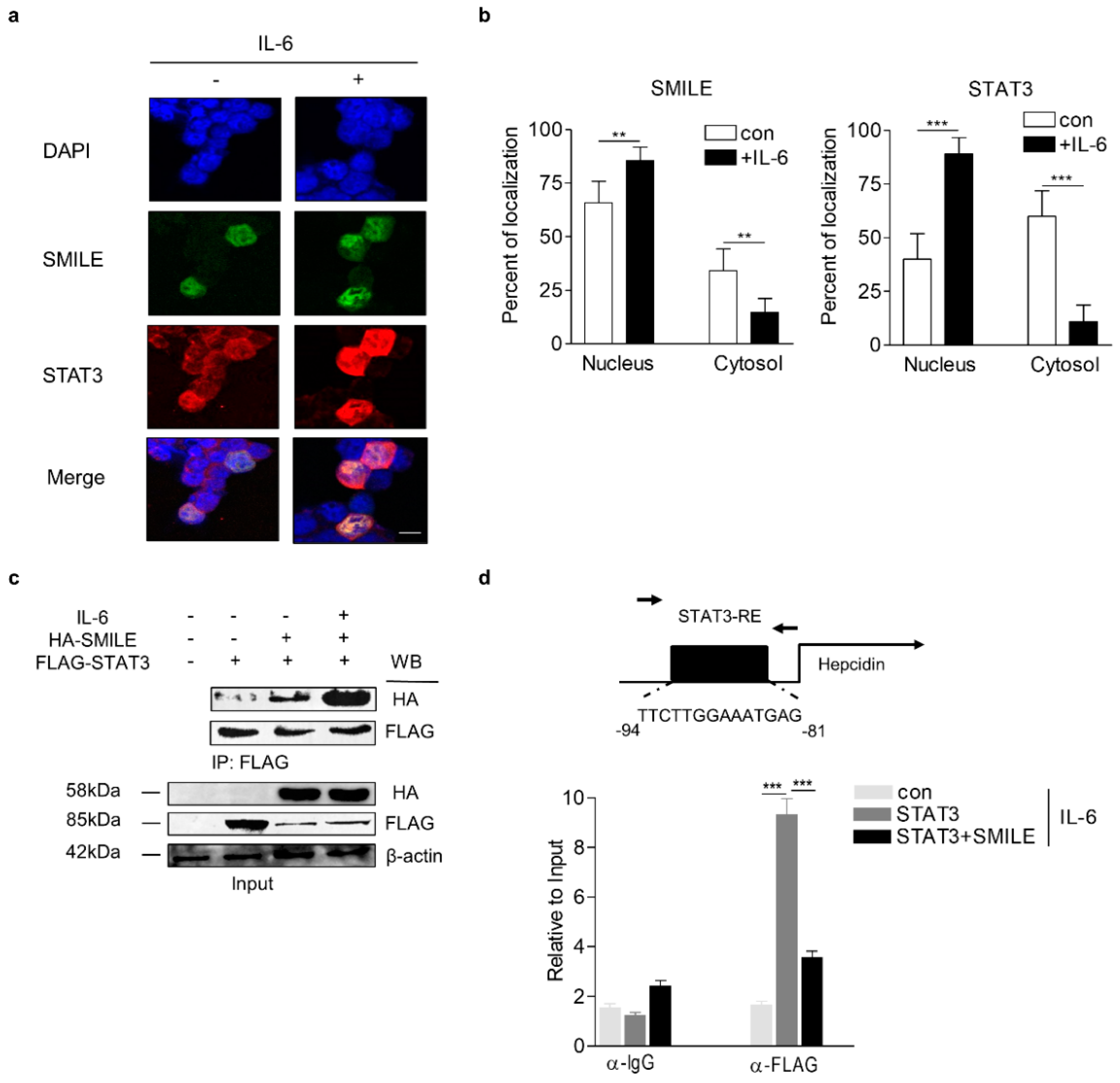 Antioxidants 09 00514 g003