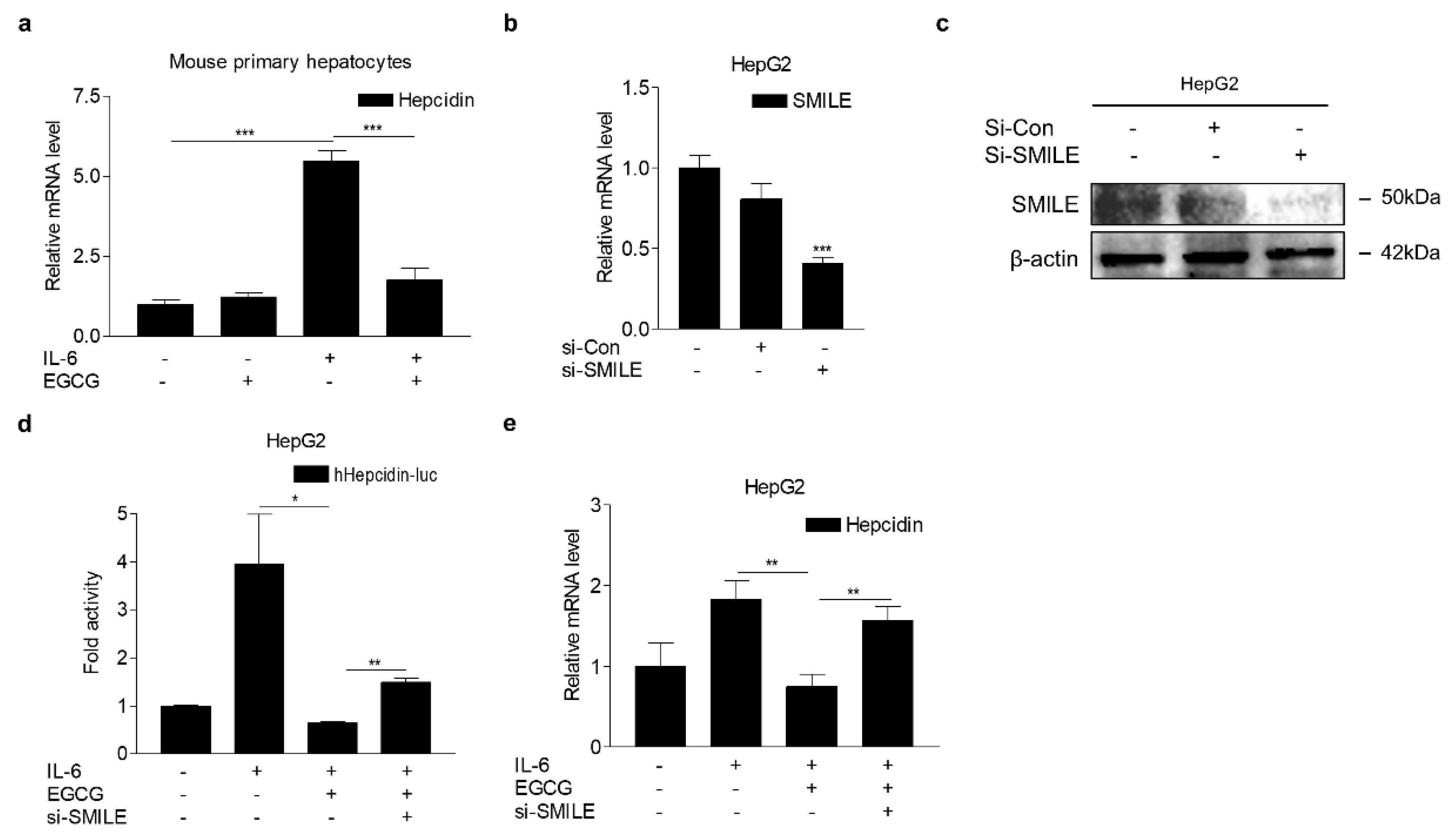 Antioxidants 09 00514 g006