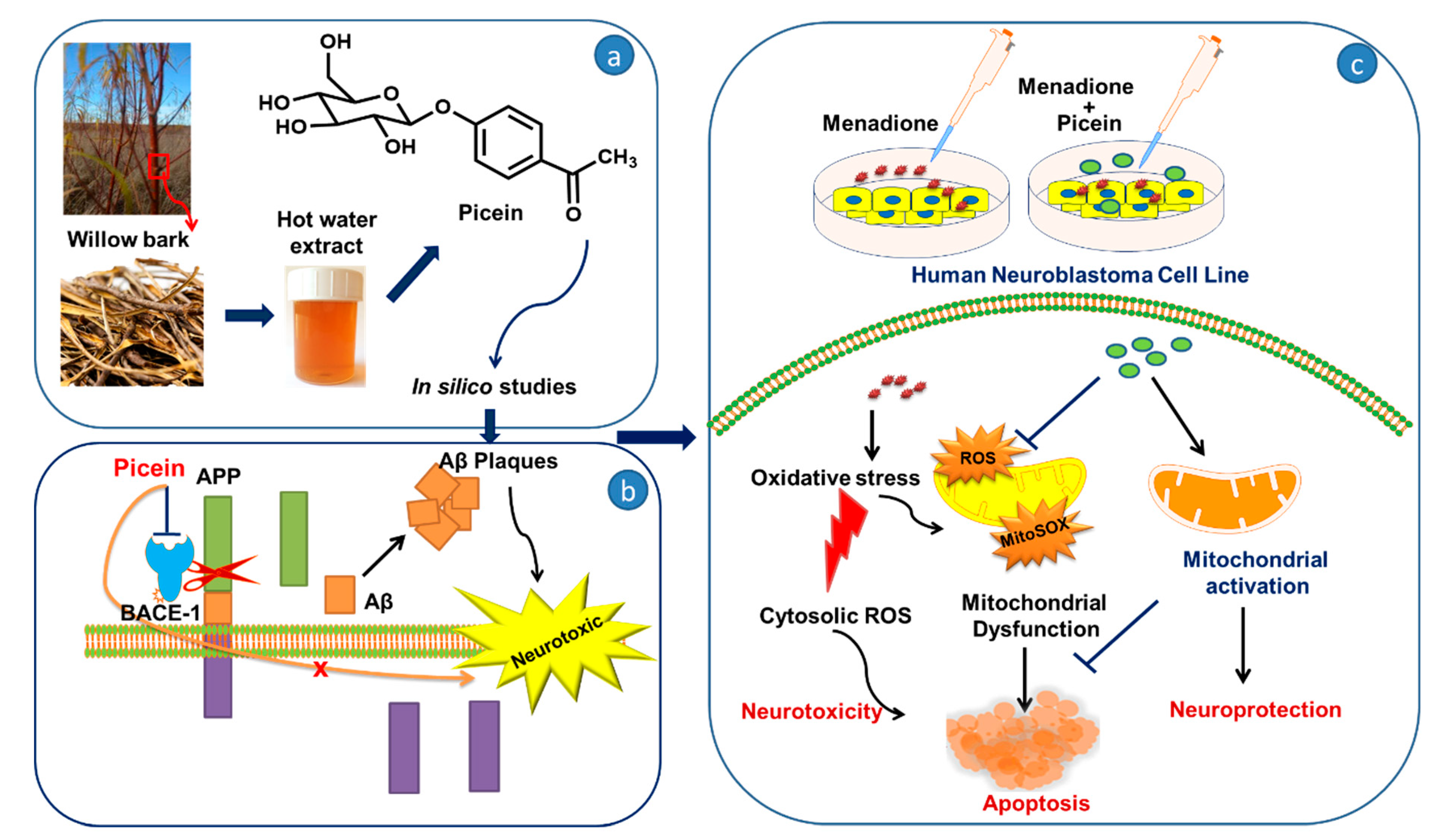 Antioxidants 09 00552 g001 Antioxidants 09 00552 g001