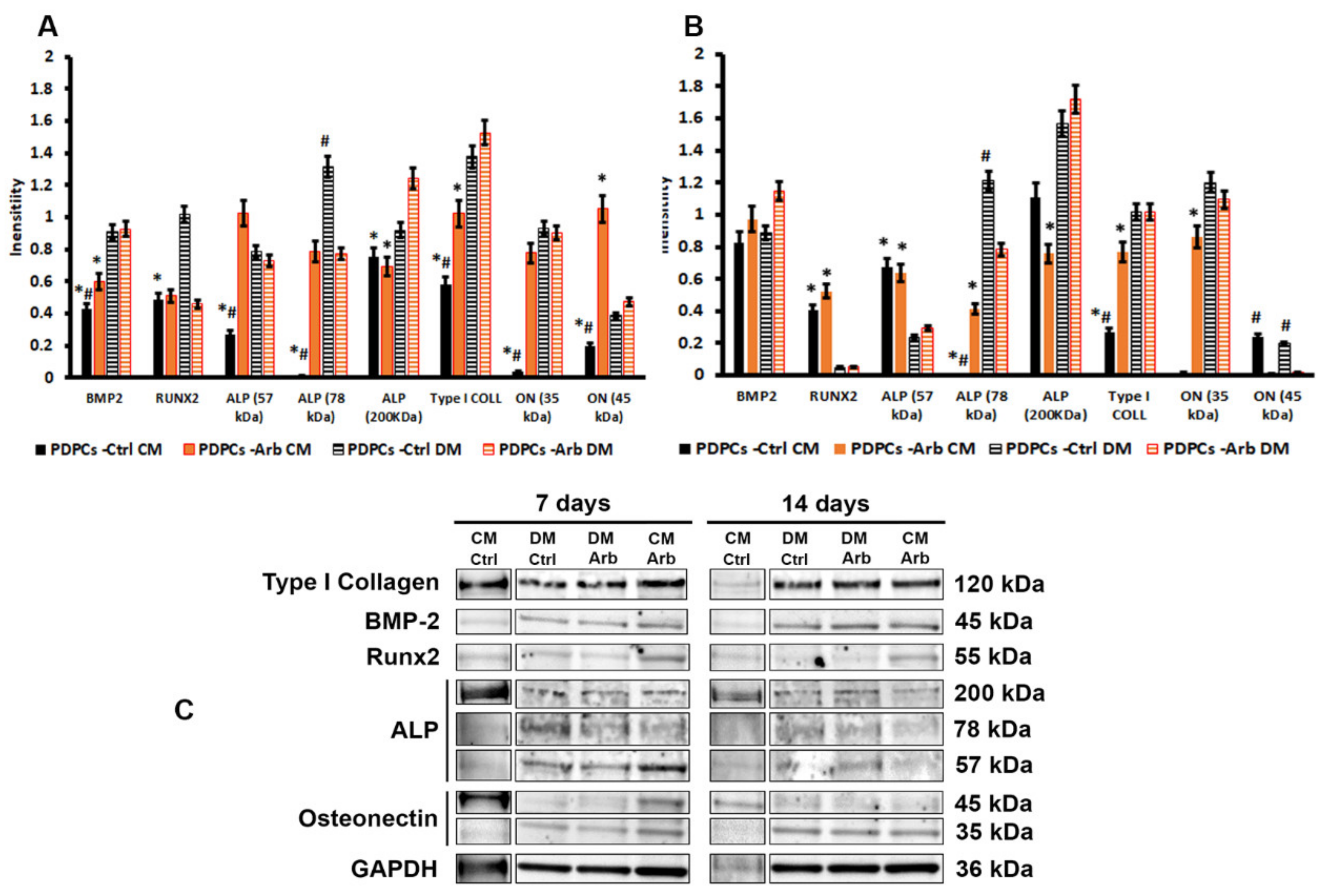 Antioxidants 09 00579 g003 Antioxidants 09 00579 g003