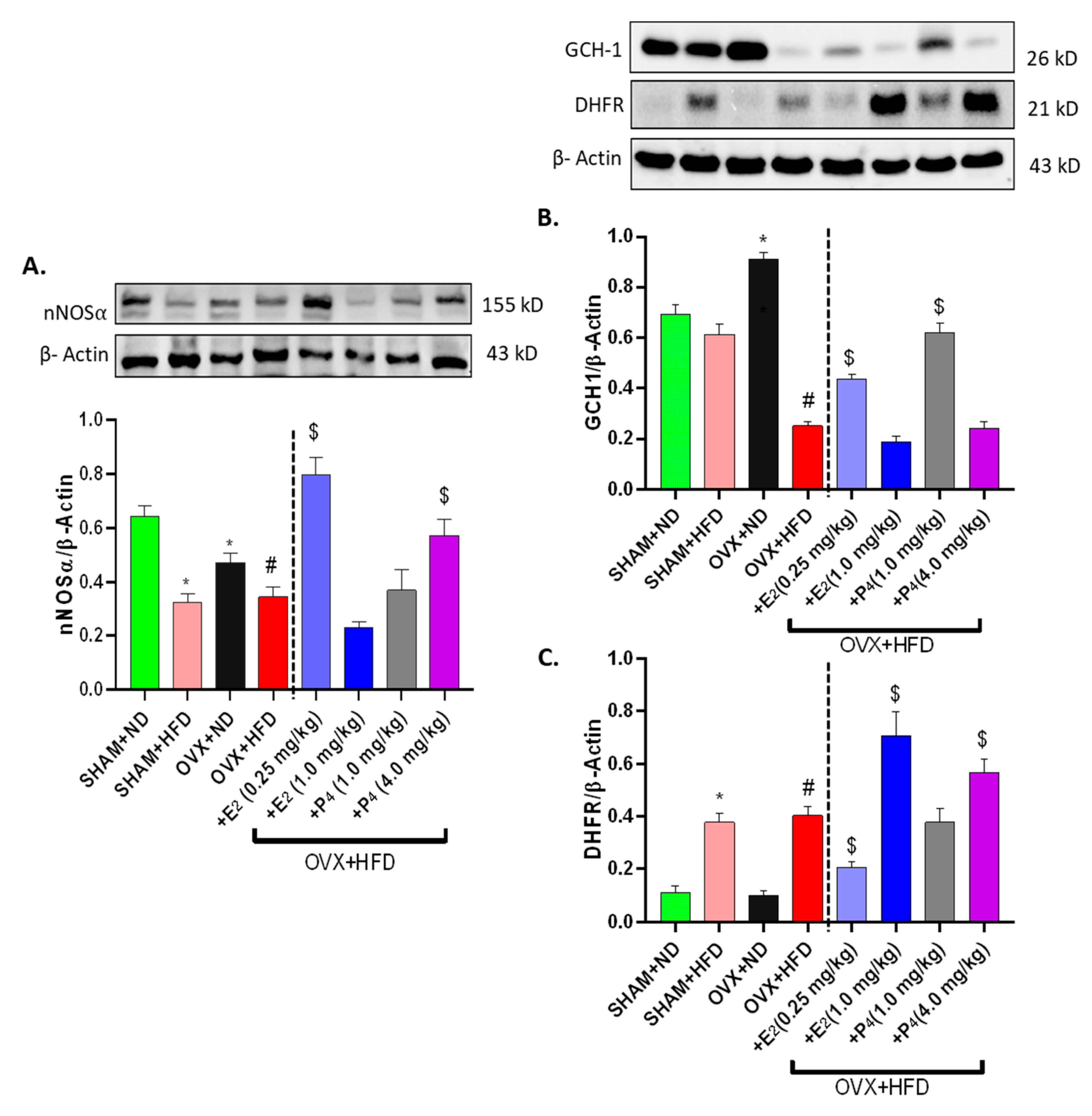 Antioxidants 09 00582 g003 Antioxidants 09 00582 g003