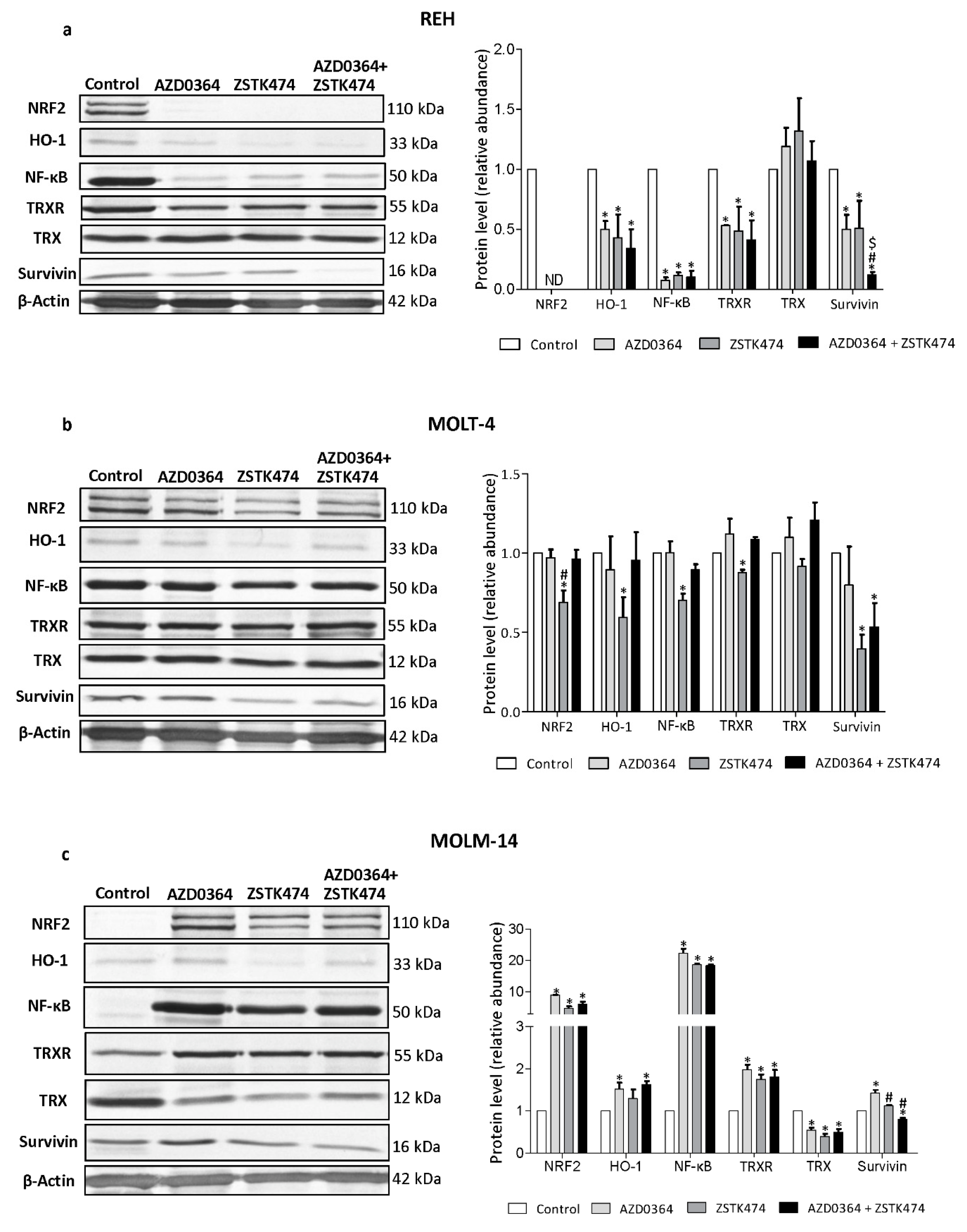 Antioxidants 09 00633 g005